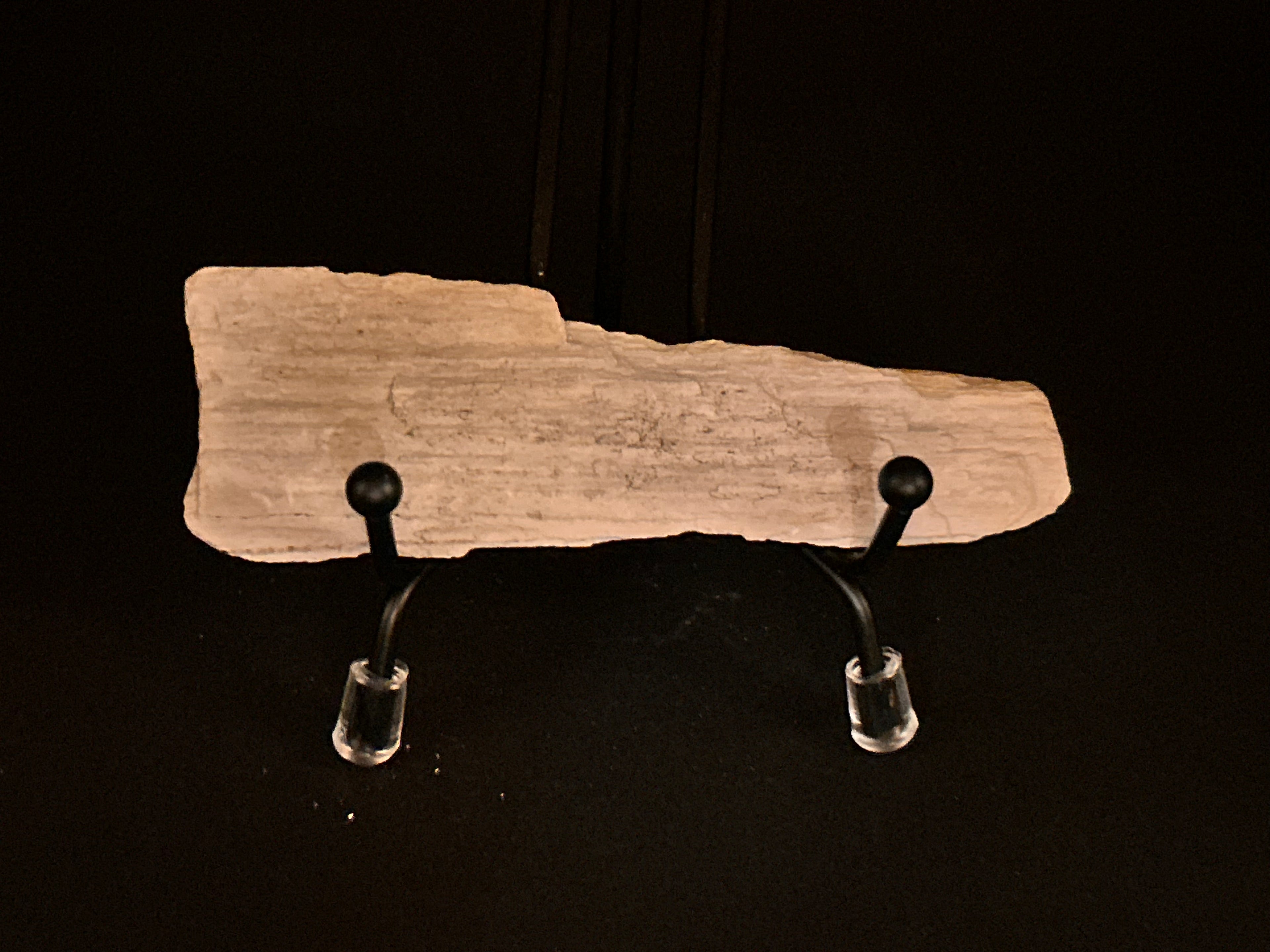 Whisperwood:  Petrified Wood
