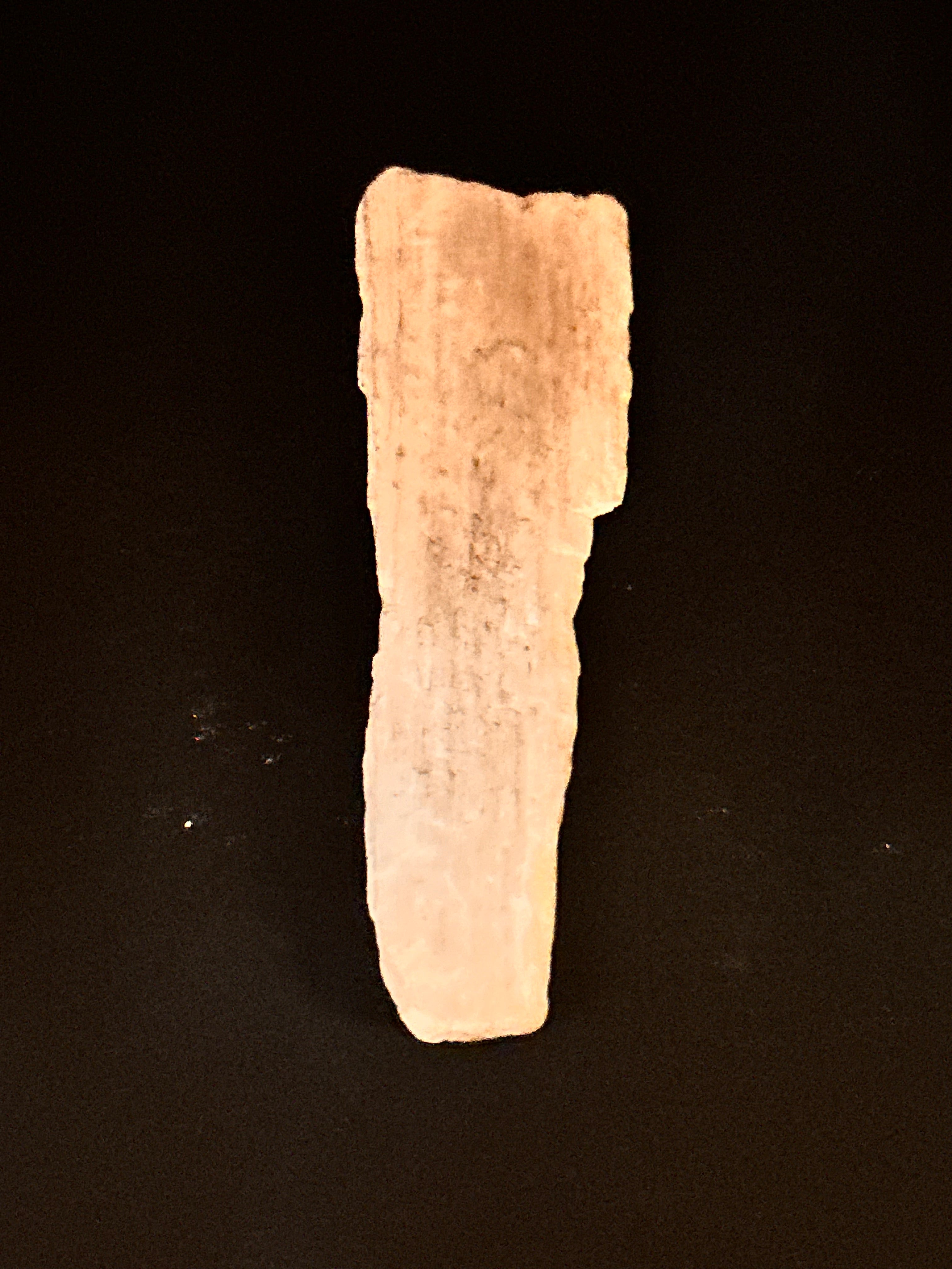 Whisperwood:  Petrified Wood