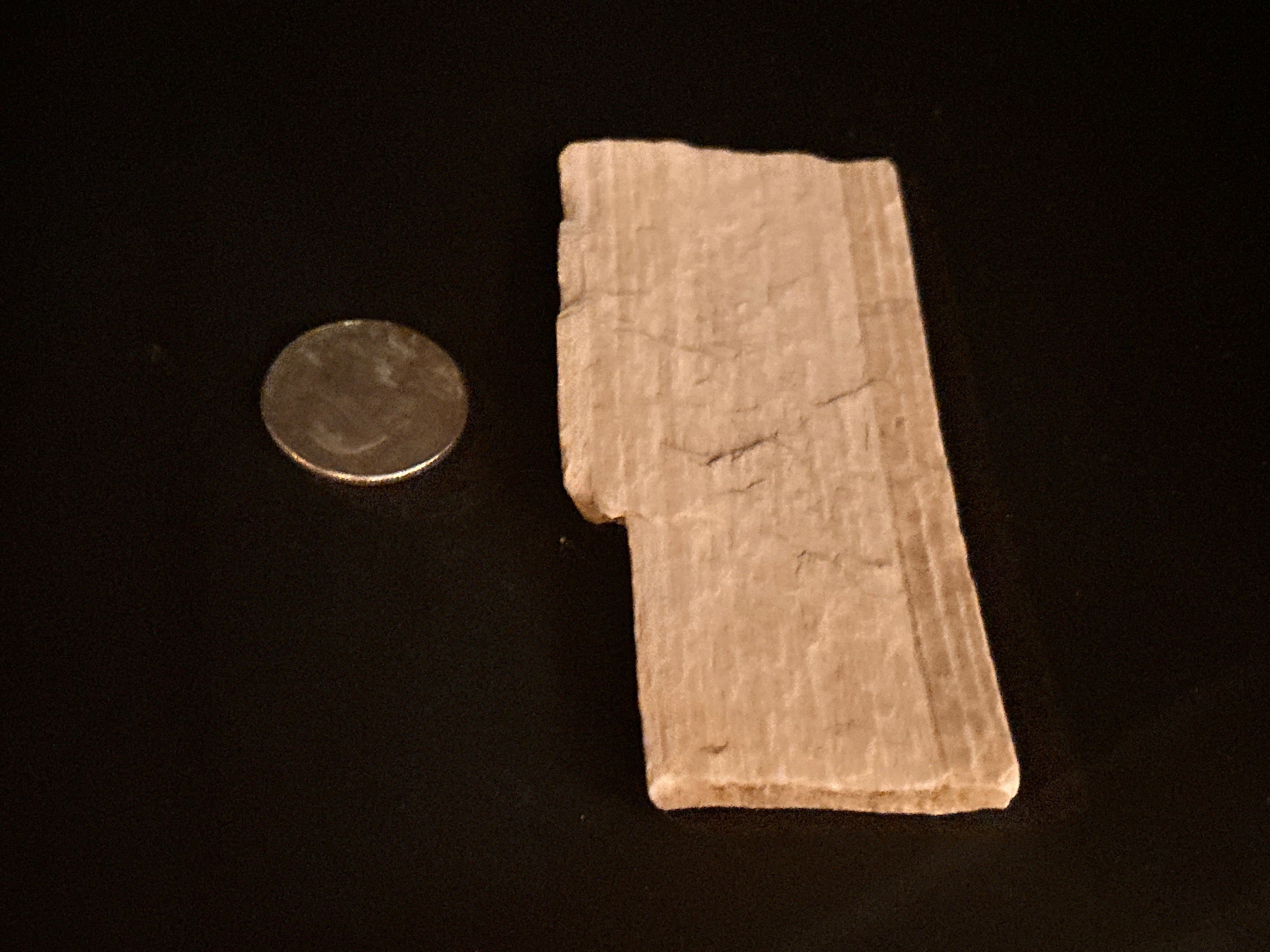Whisperwood:  Petrified Wood
