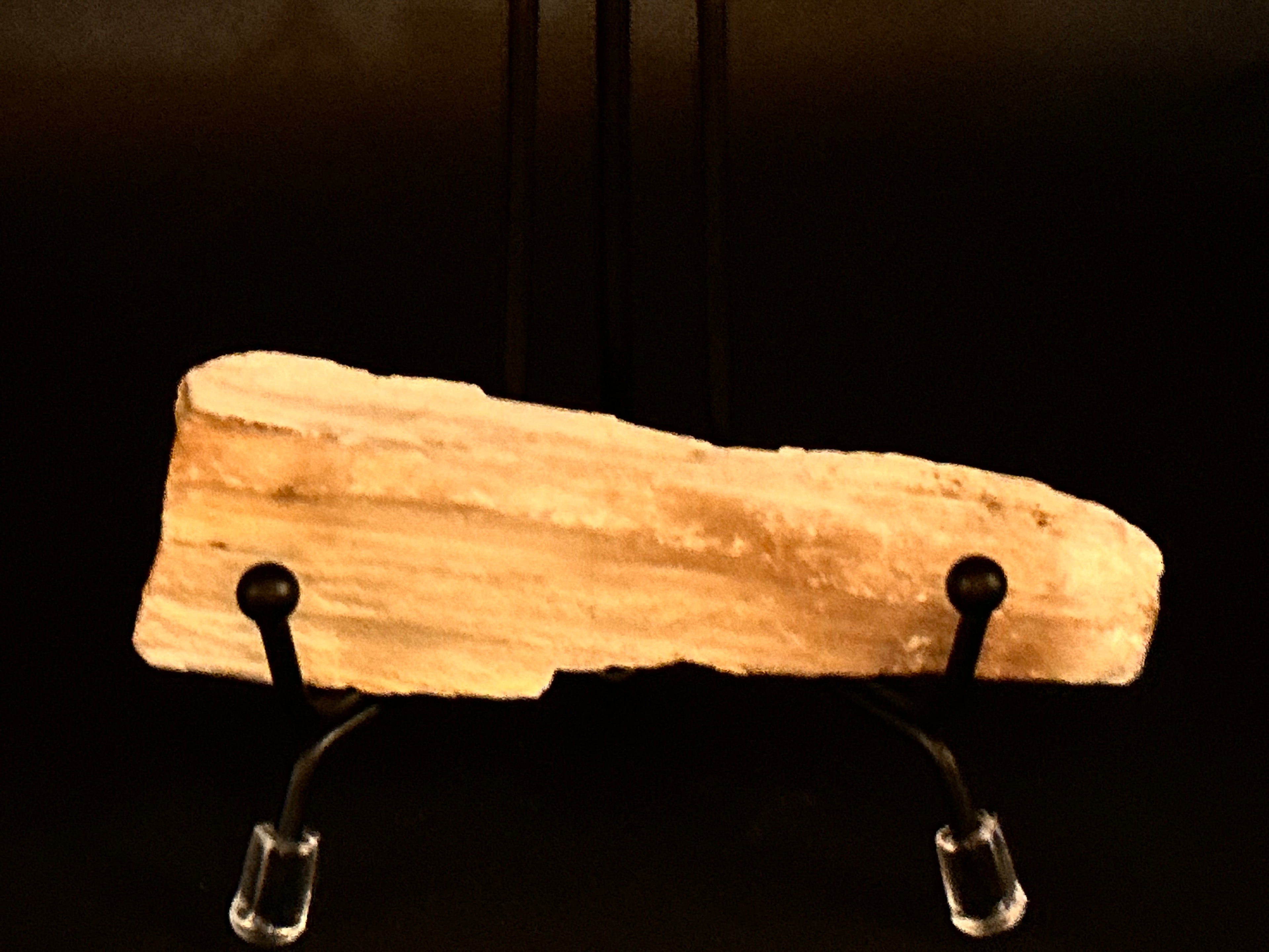 Whisperwood:  Petrified Wood