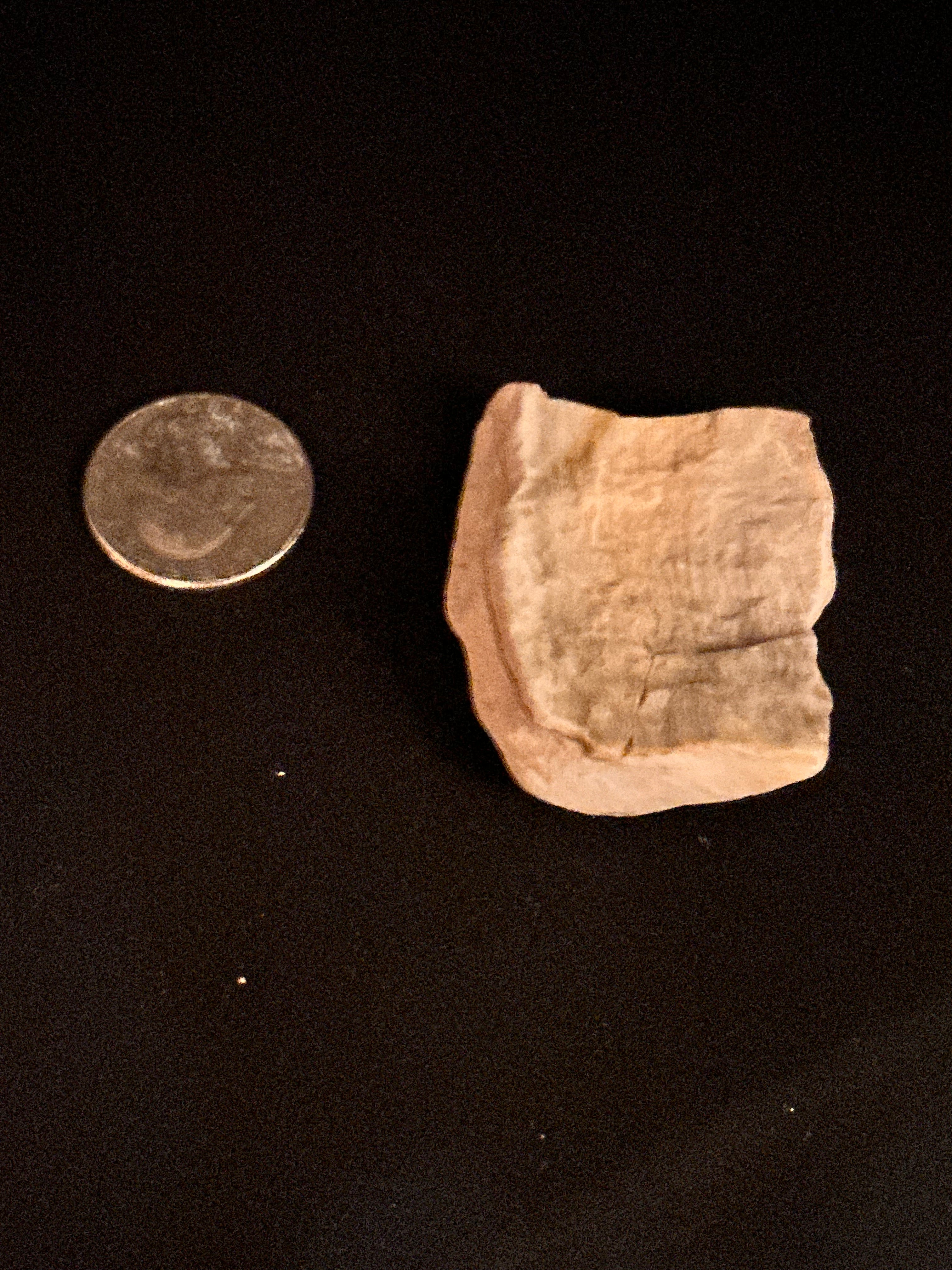 Whisperwood:  Petrified Wood