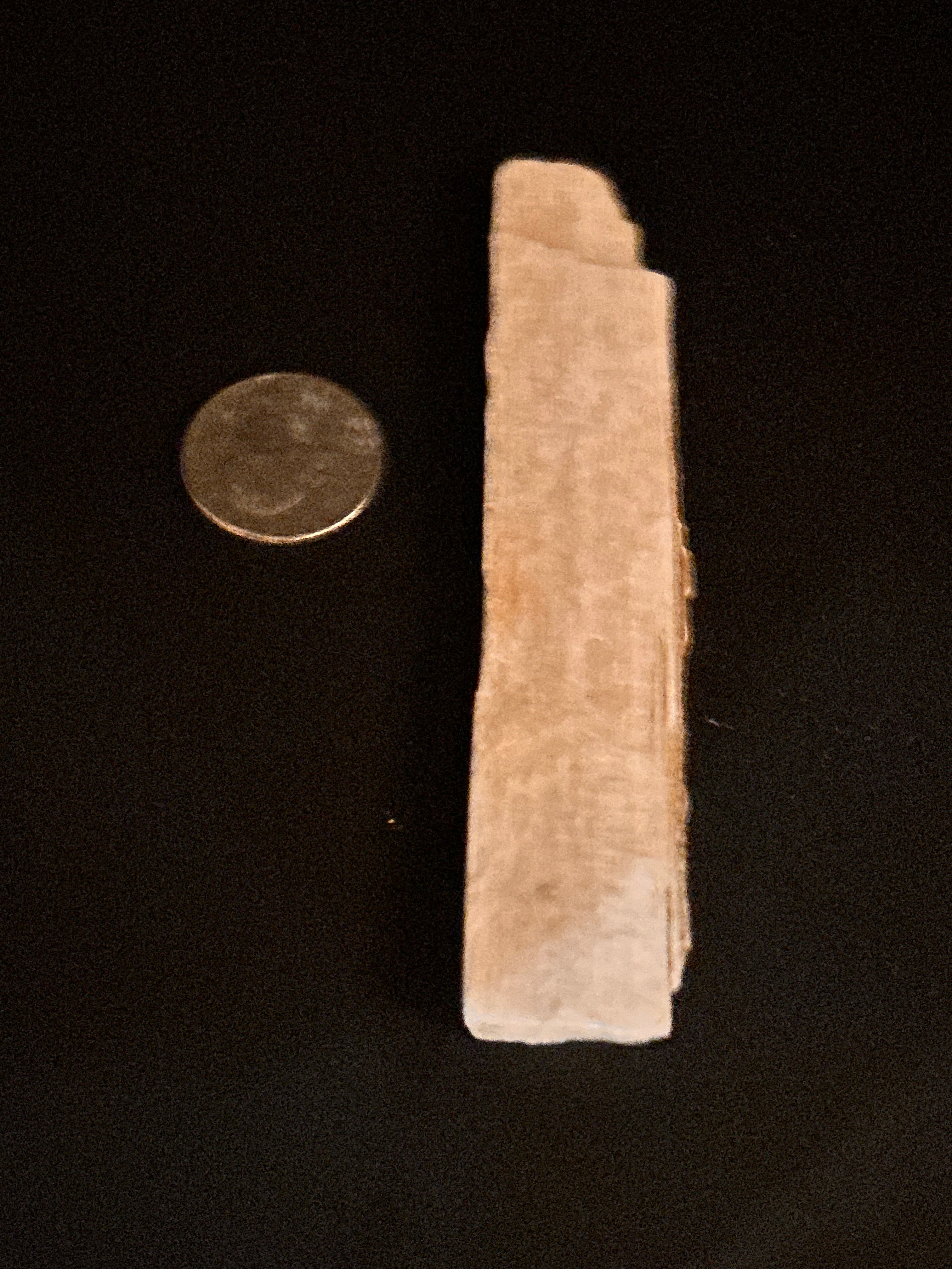 Whisperwood:  Petrified Wood