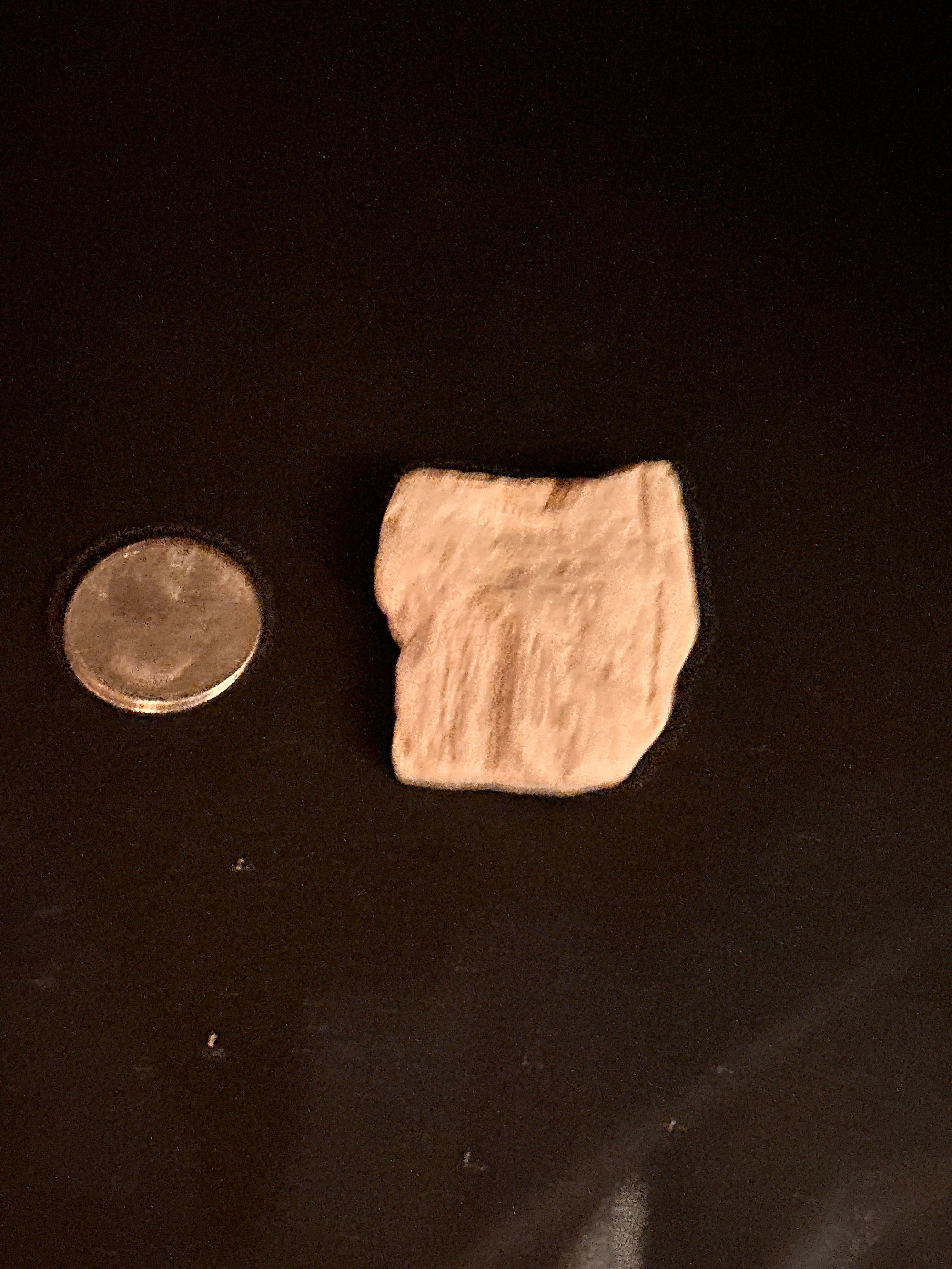 Whisperwood:  Petrified Wood