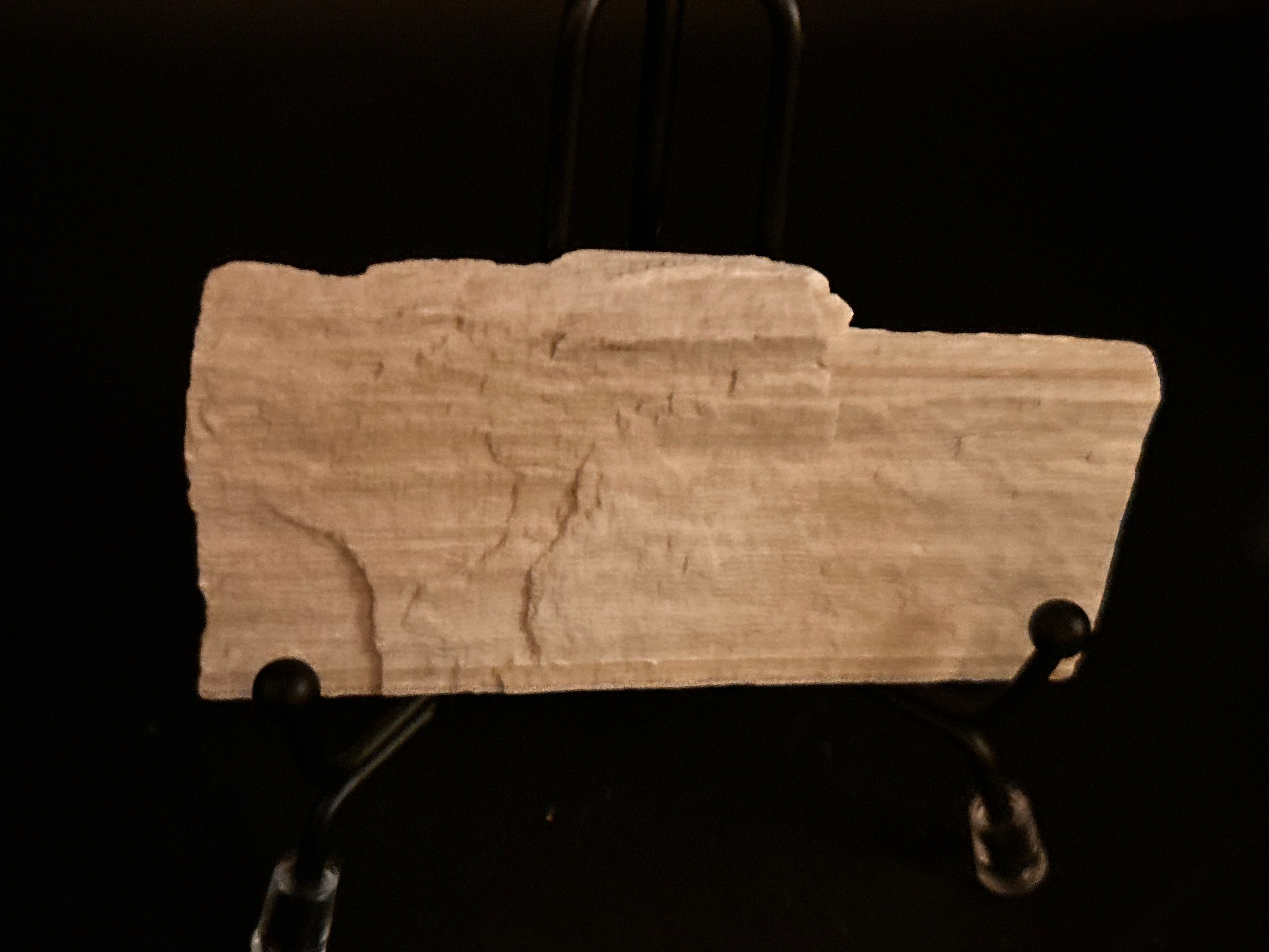 Whisperwood:  Petrified Wood