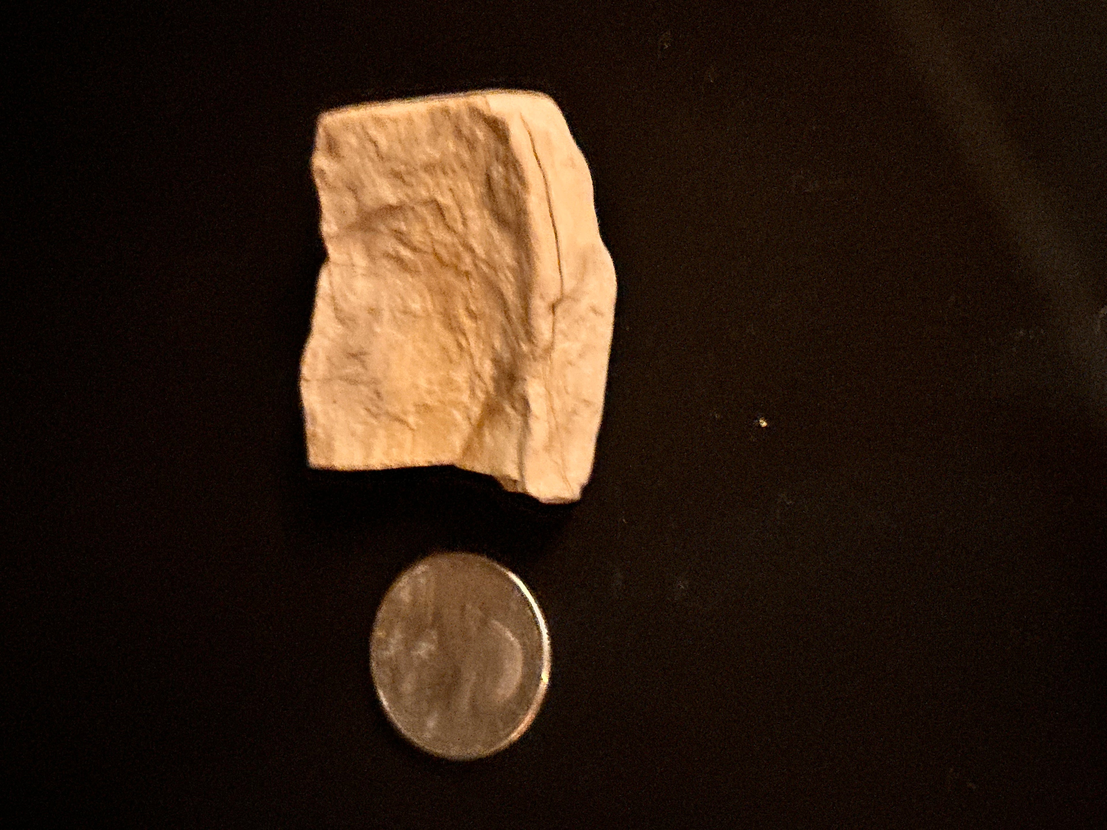 Whisperwood:  Petrified Wood