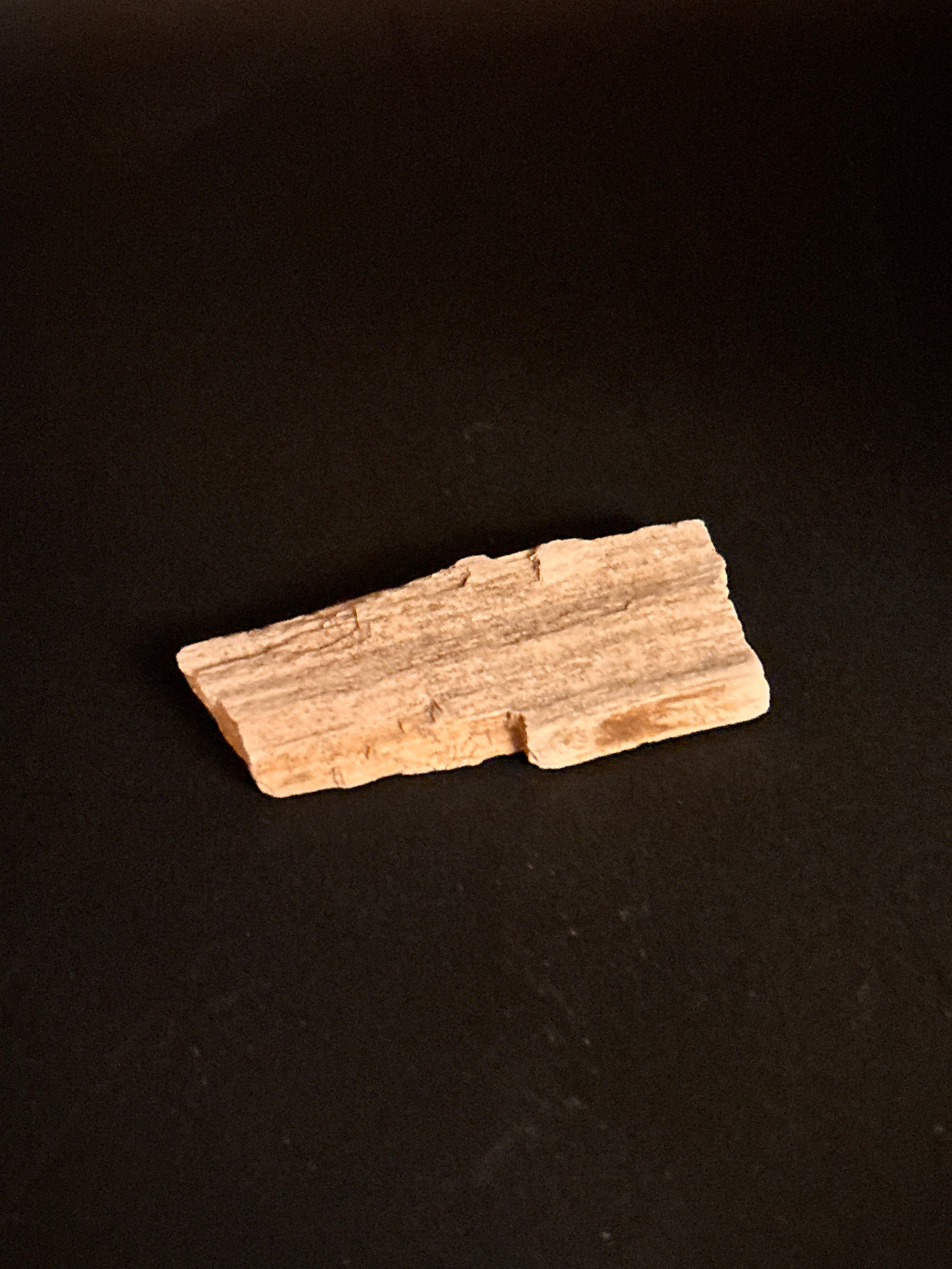 Whisperwood:  Petrified Wood