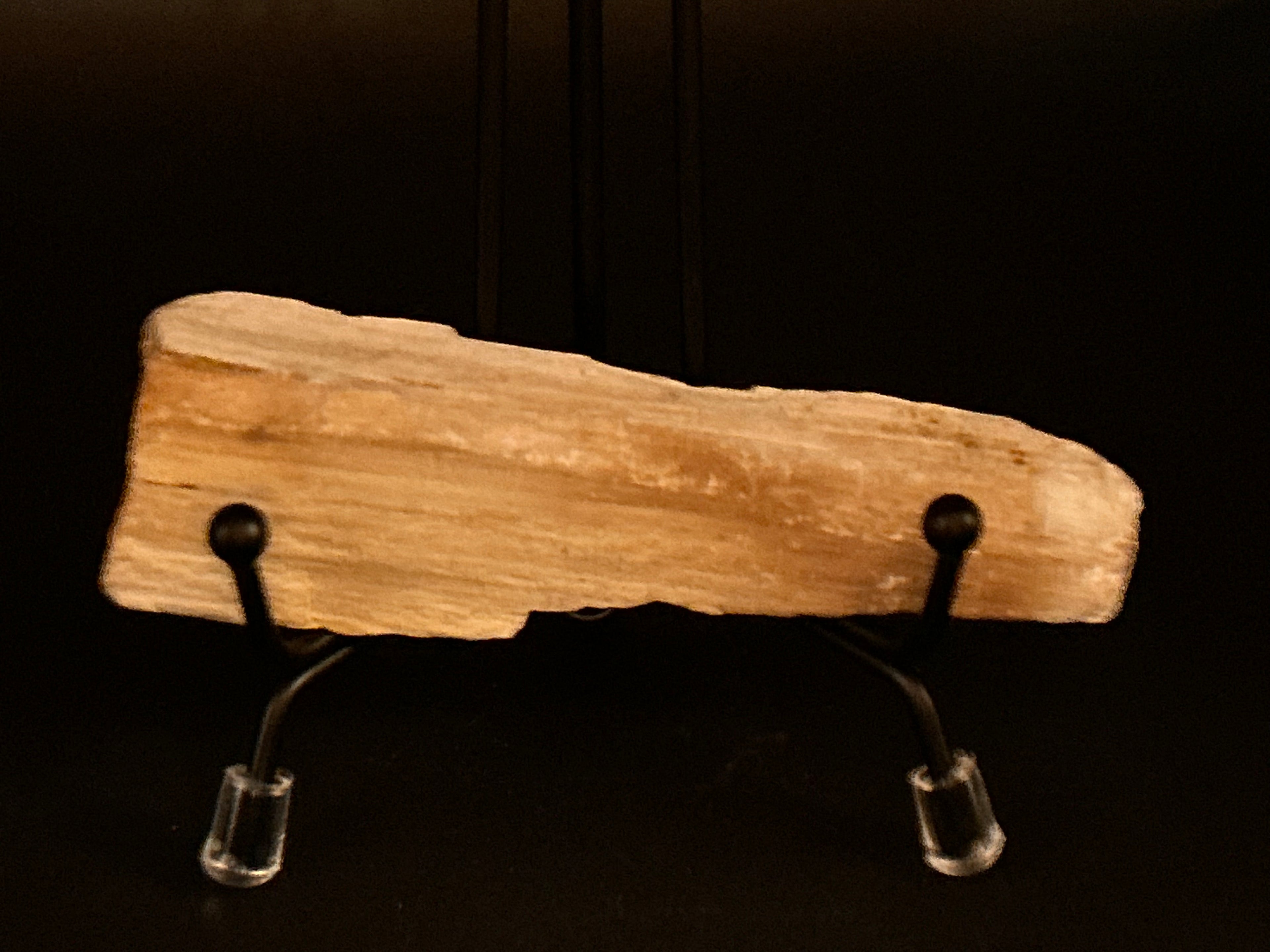 Whisperwood:  Petrified Wood
