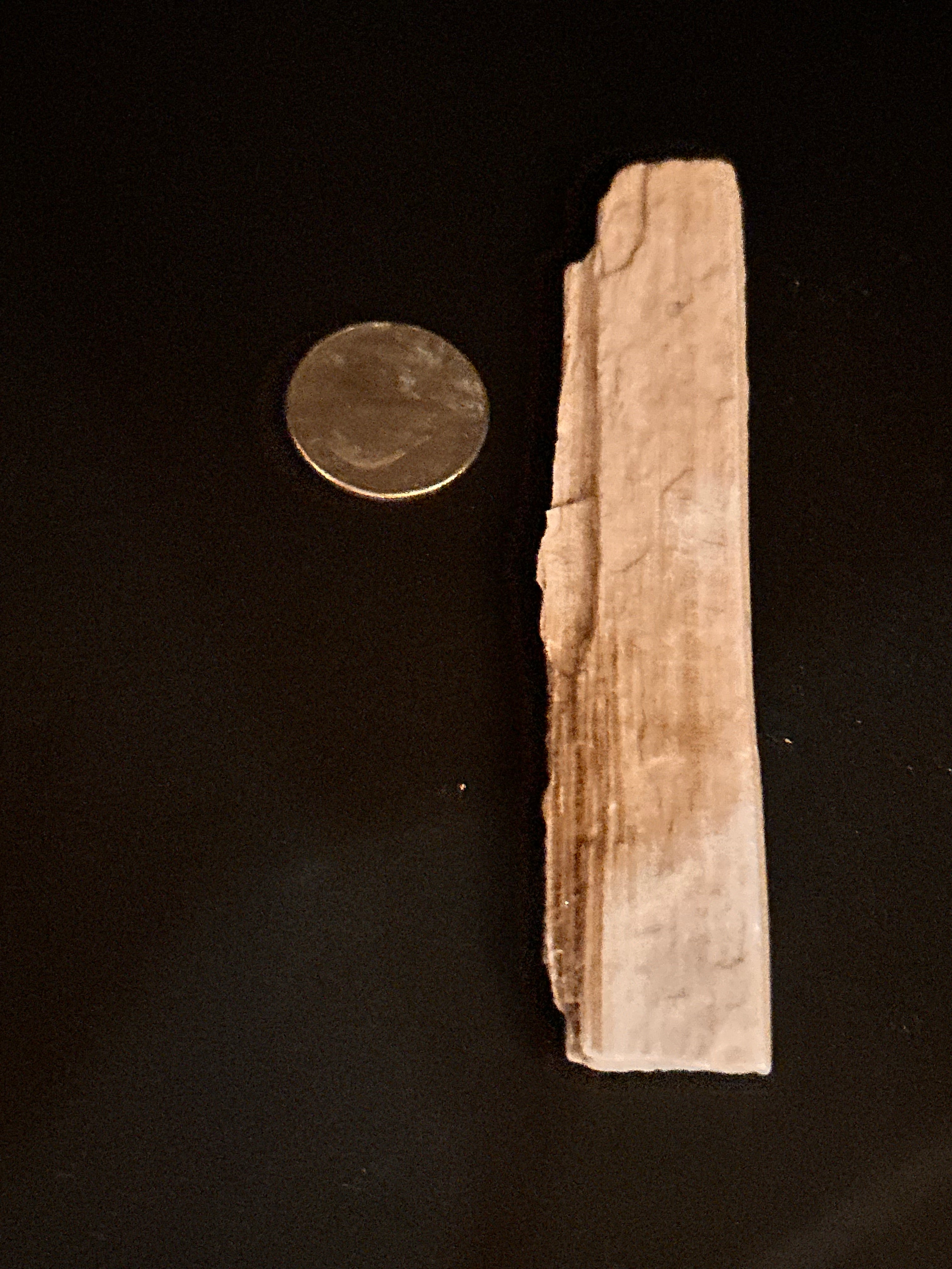 Whisperwood:  Petrified Wood