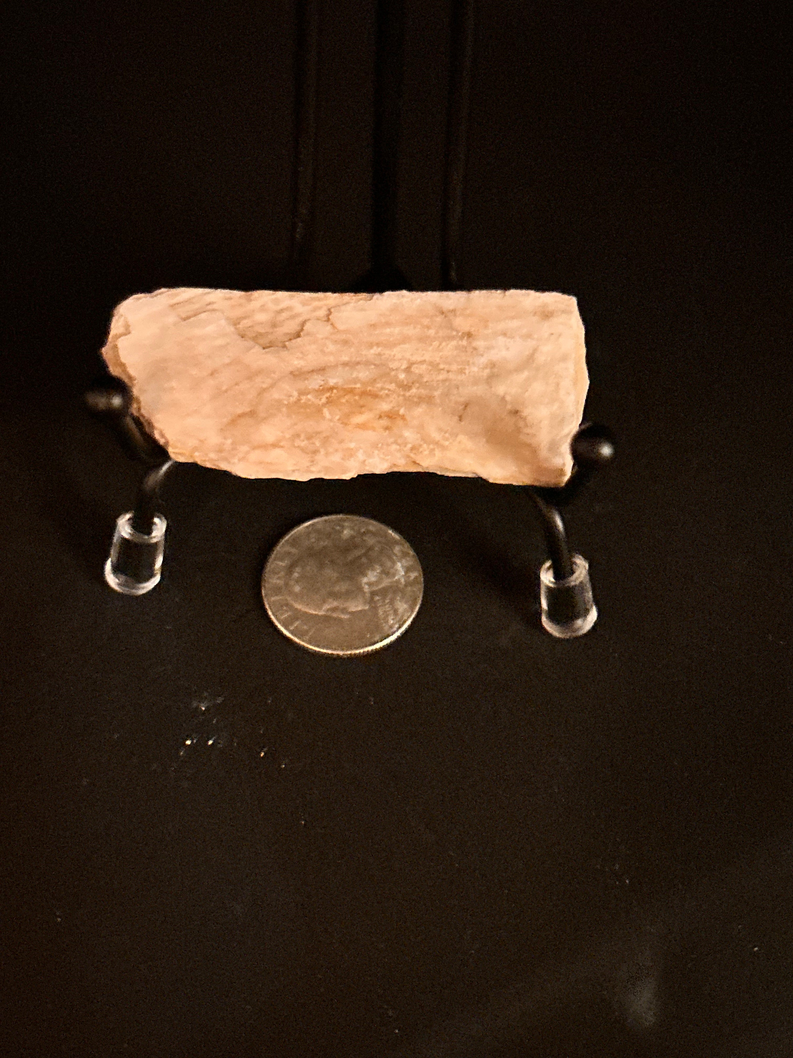 Whisperwood:  Petrified Wood