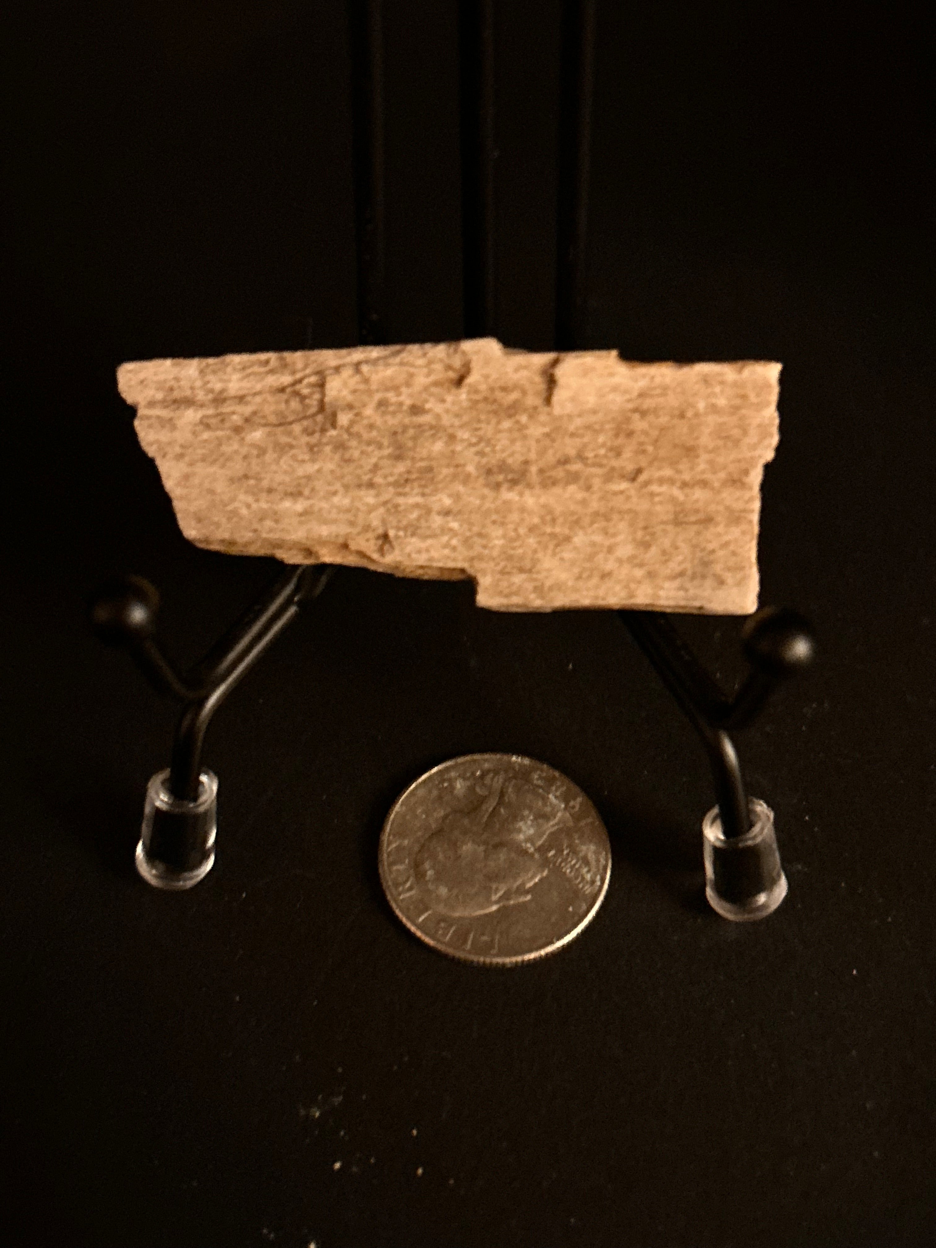 Whisperwood:  Petrified Wood