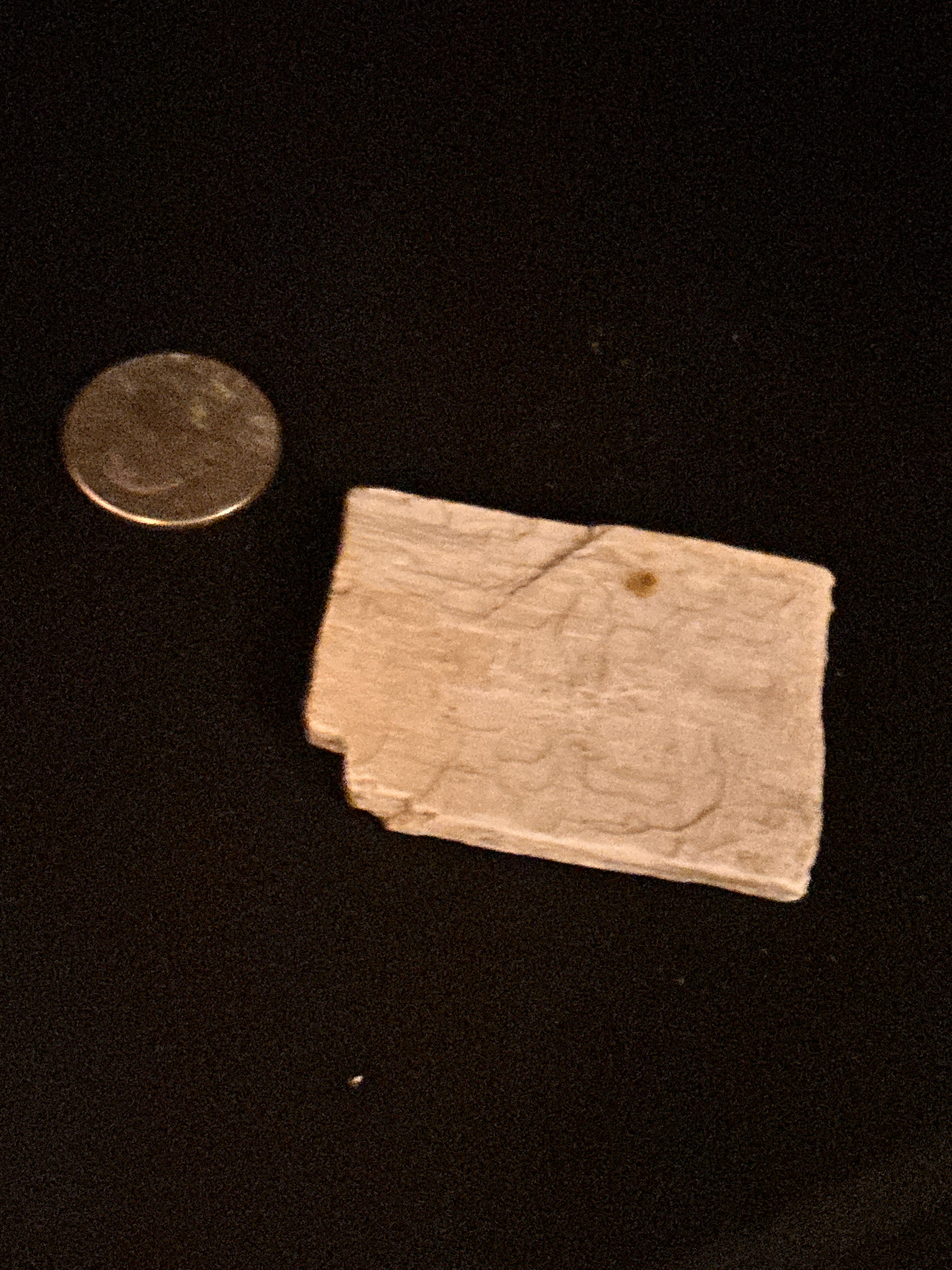 Whisperwood:  Petrified Wood