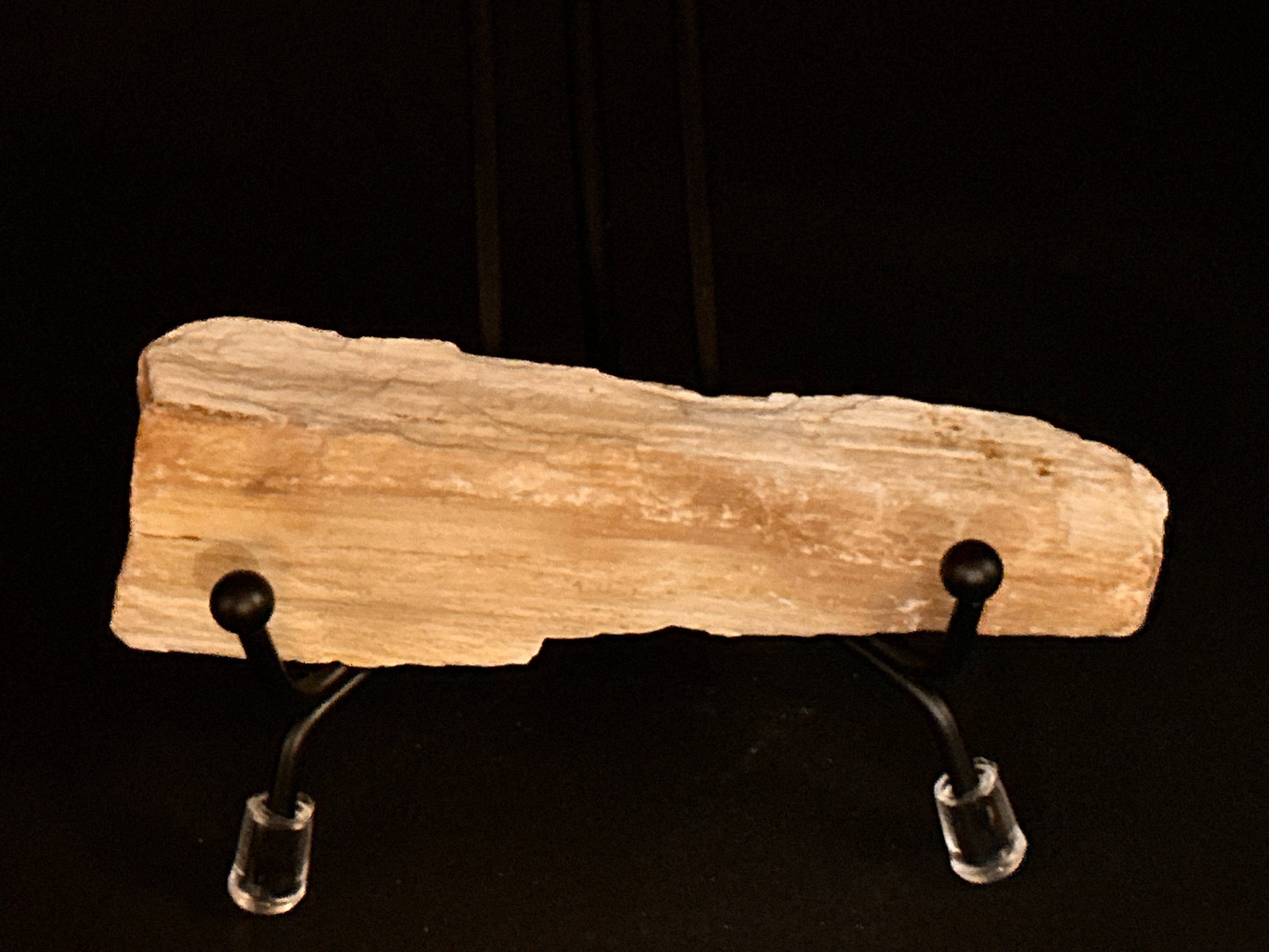 Whisperwood:  Petrified Wood