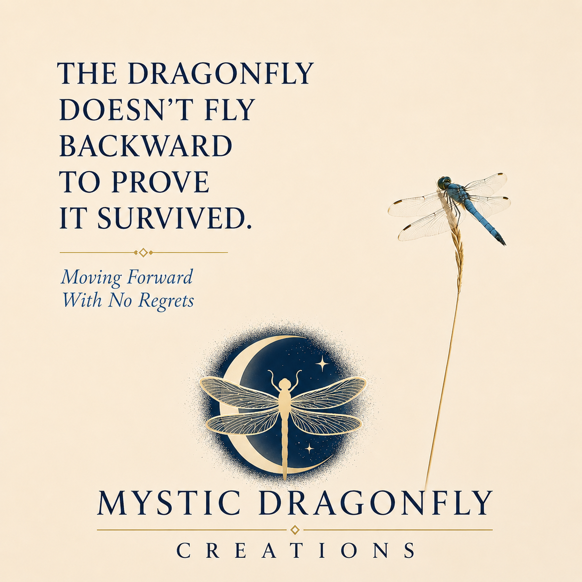 Dragonfly beside the Mystic Dragonfly Creations crescent moon and dragonfly logo with the words The Dragonfly Doesn’t Fly Backward to Prove It Survived.