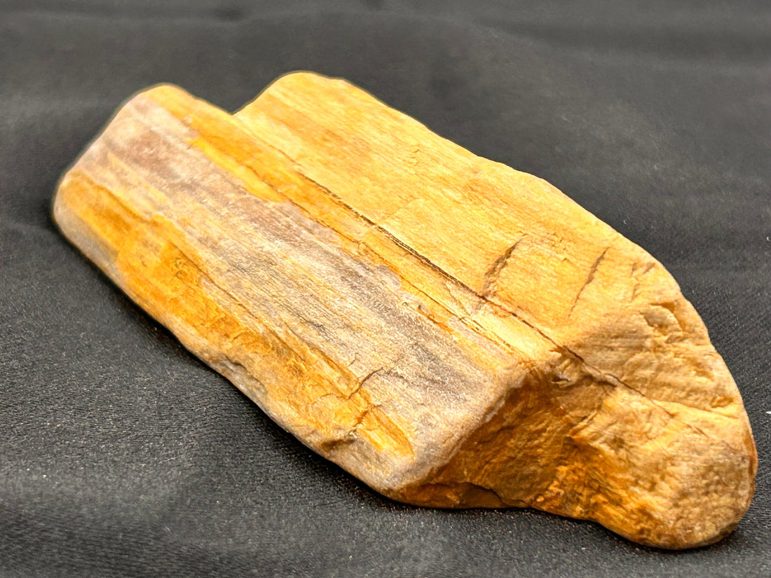 The Crystal-Fire Remnant, a golden-amber natural specimen with visible crystallized areas documented in the Dragonfly Archive