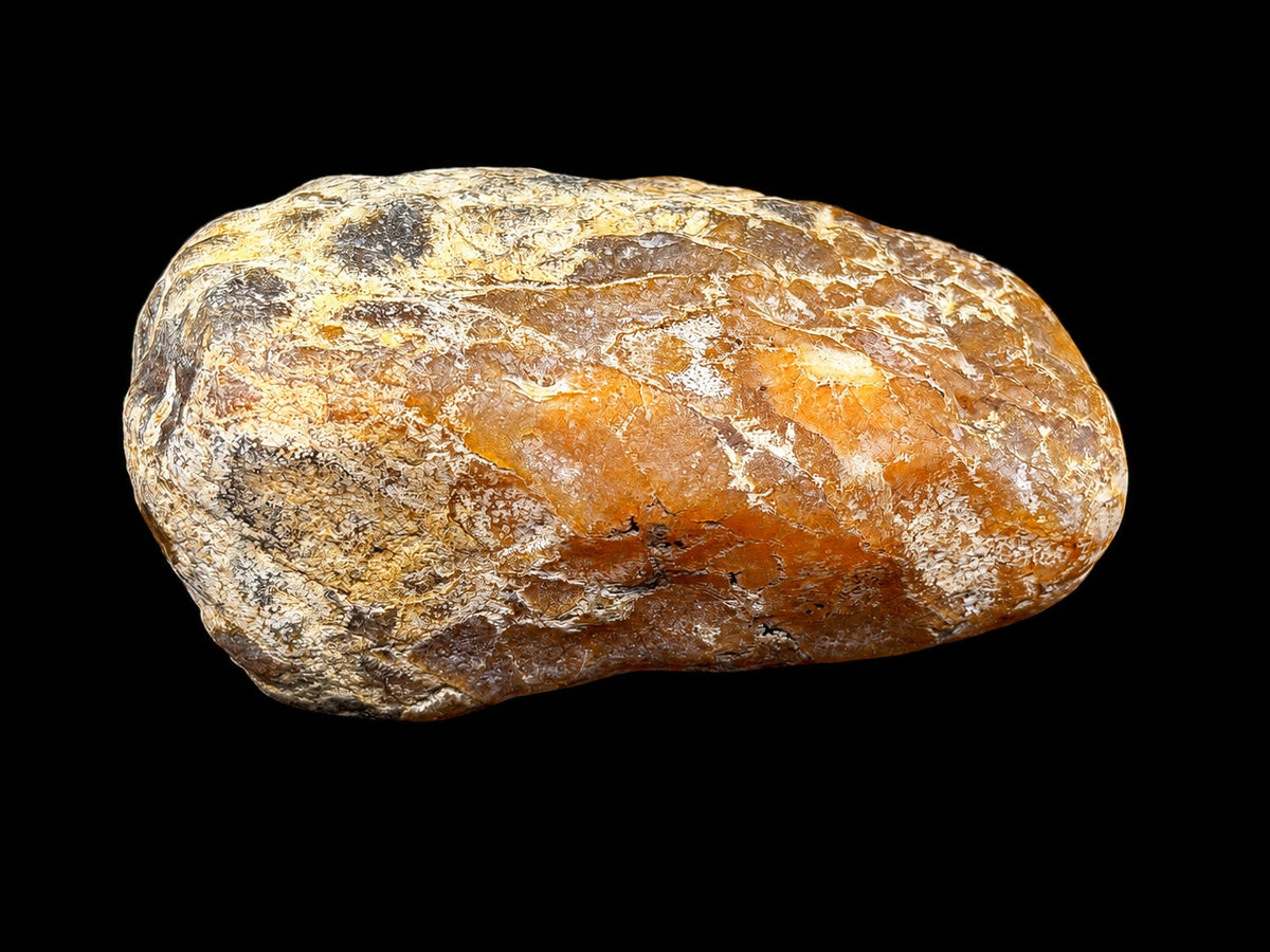 Orange face of hard Dragonfly Portal stone specimen against black background