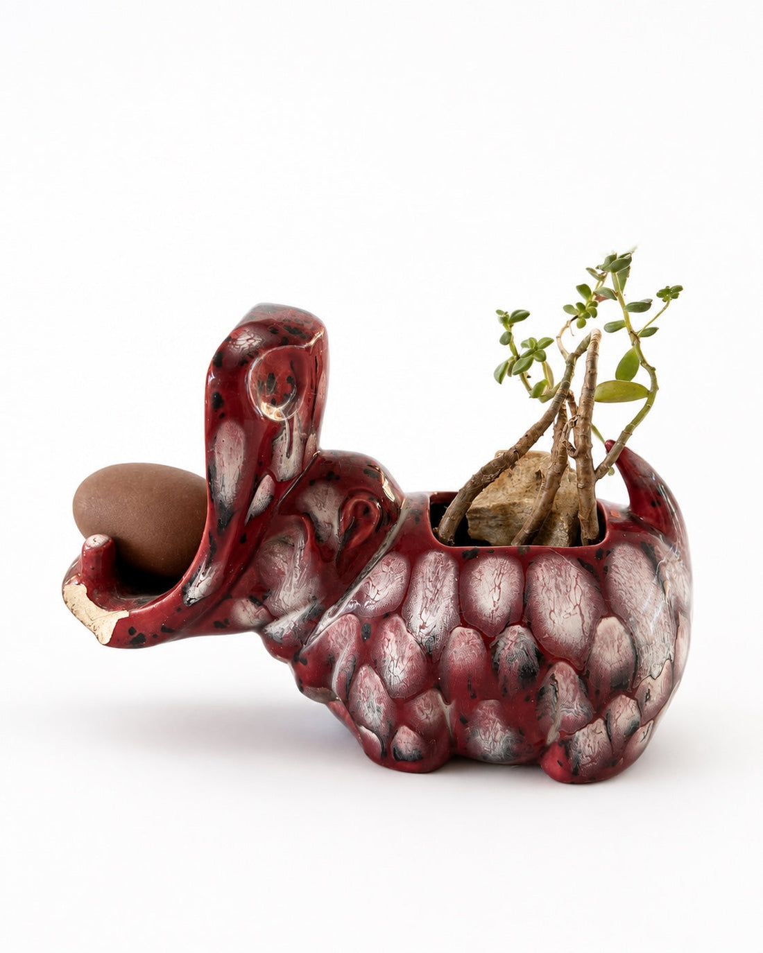 Emeris the ceramic hippo planter with the Stone Egg and succulent, photographed for the Dragonfly Archive