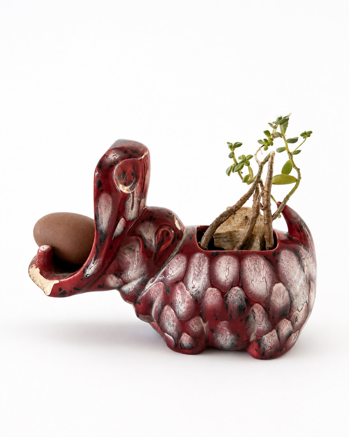 Emeris the ceramic hippo planter with the Stone Egg and succulent, photographed for the Dragonfly Archive