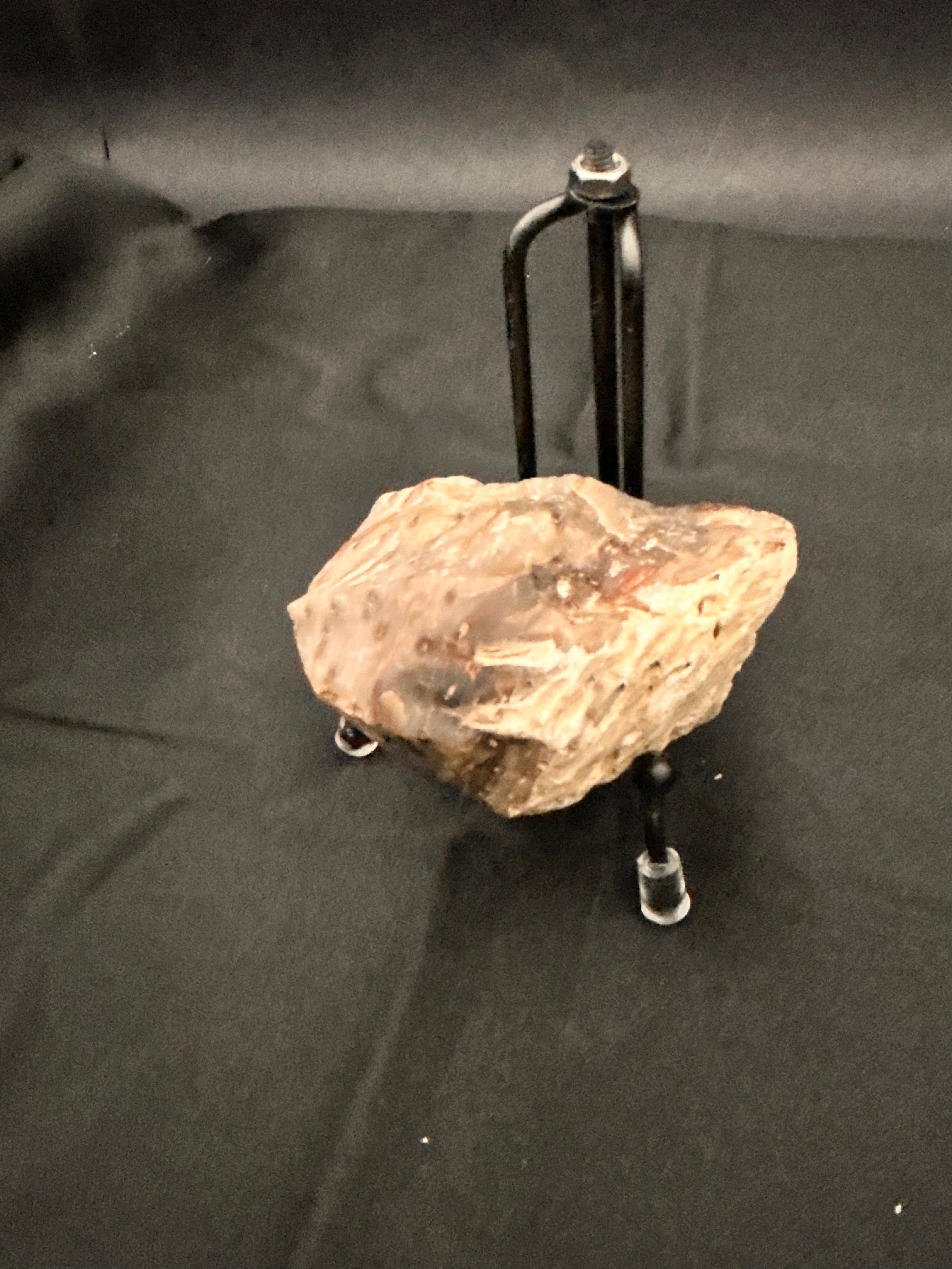 Marine Fossil Specimen
Weight: 6 oz