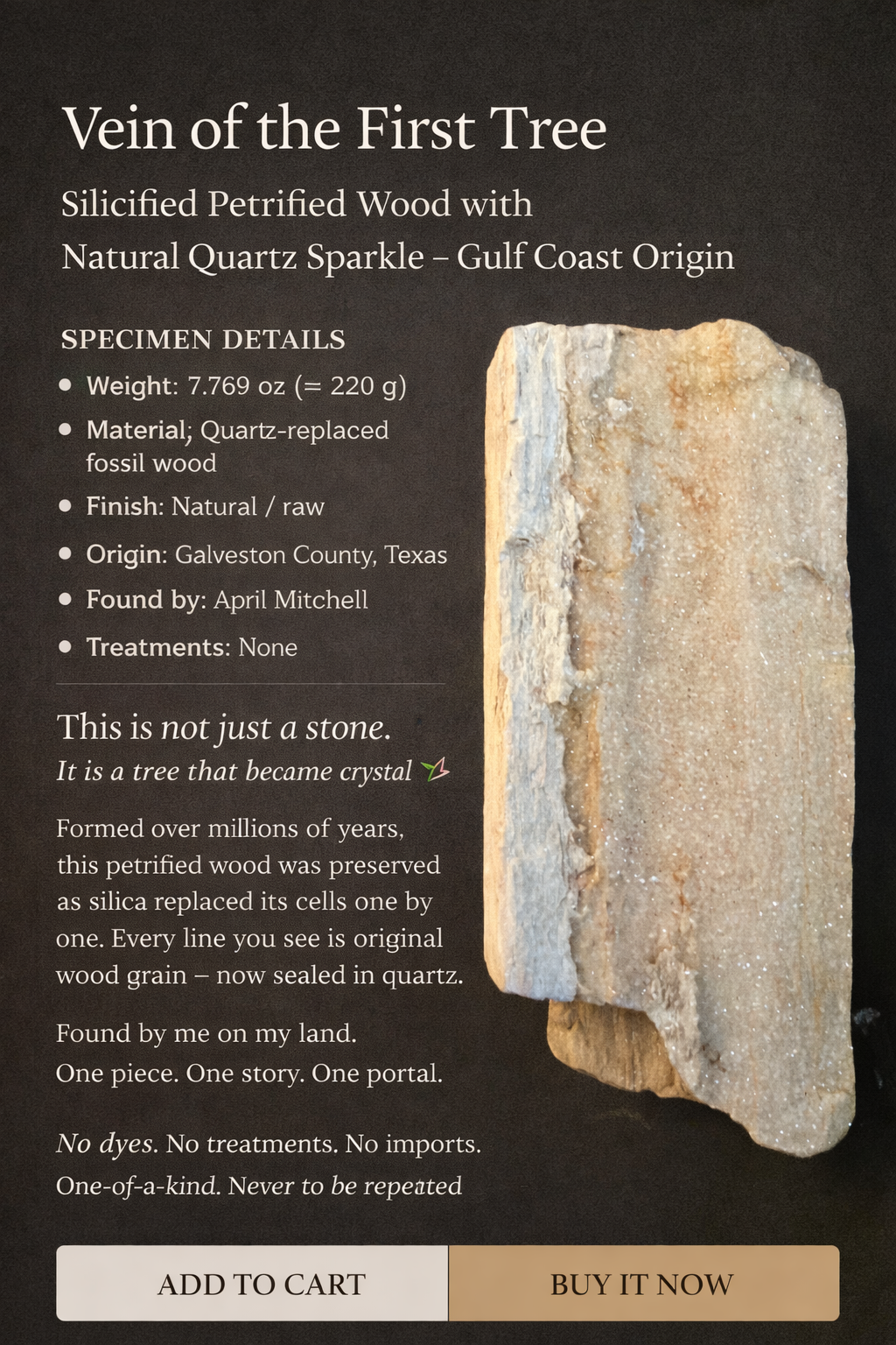 Silicified Petrified Wood with Natural Quartz Sparkle – Gulf Coast Origin (7.769 oz)