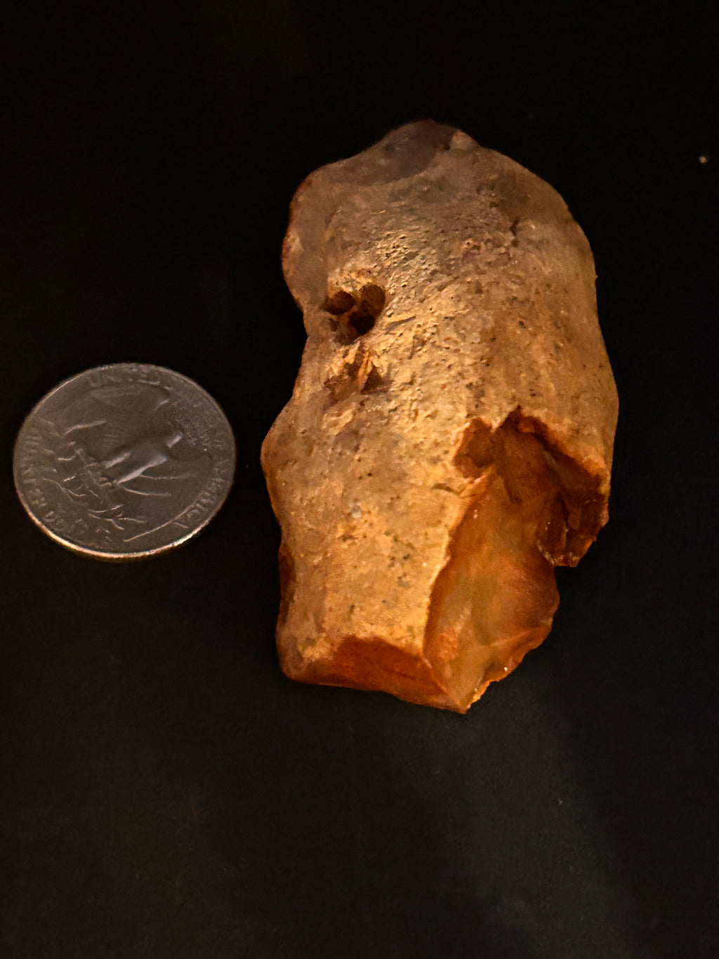 Petrified Jasper With Quartz Chalcedony Veining