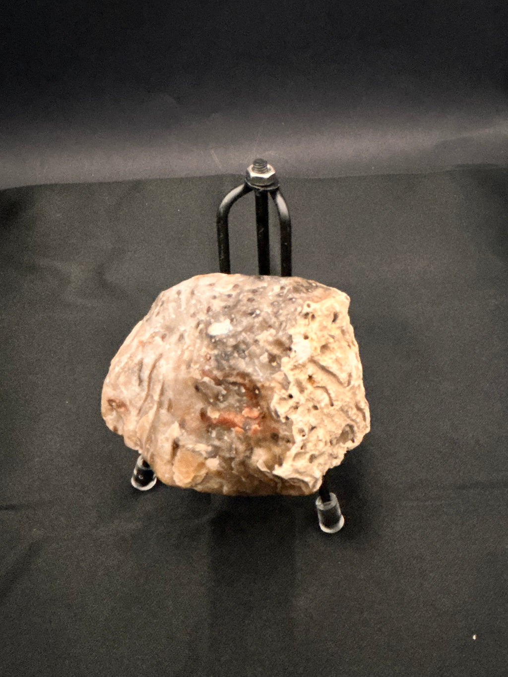 Marine Fossil Specimen
Weight: 6 oz