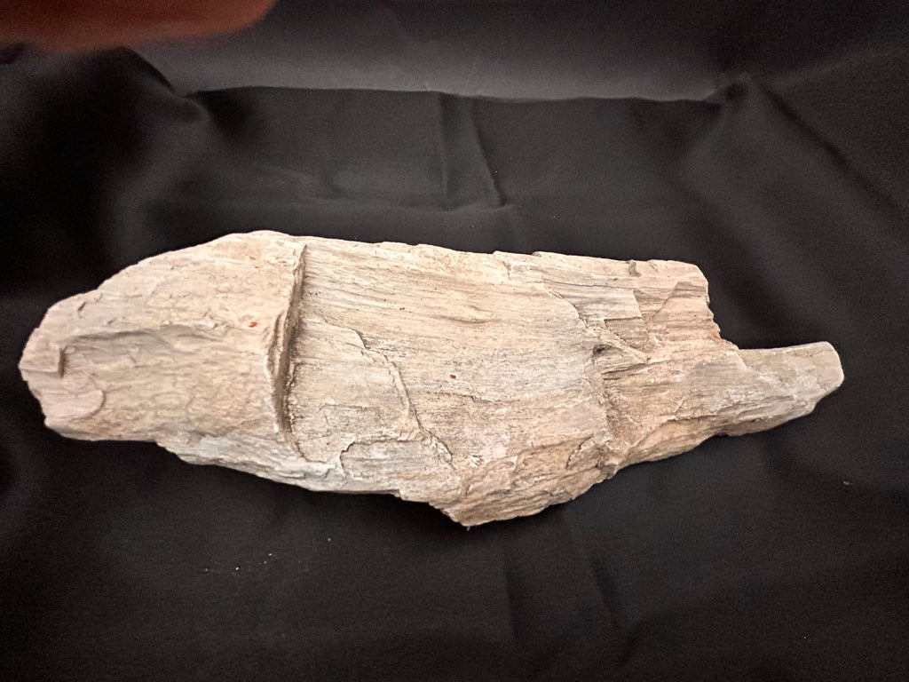 Whisperwood with Satin Spar – 10 ½” x 4”, 1.8 lbs