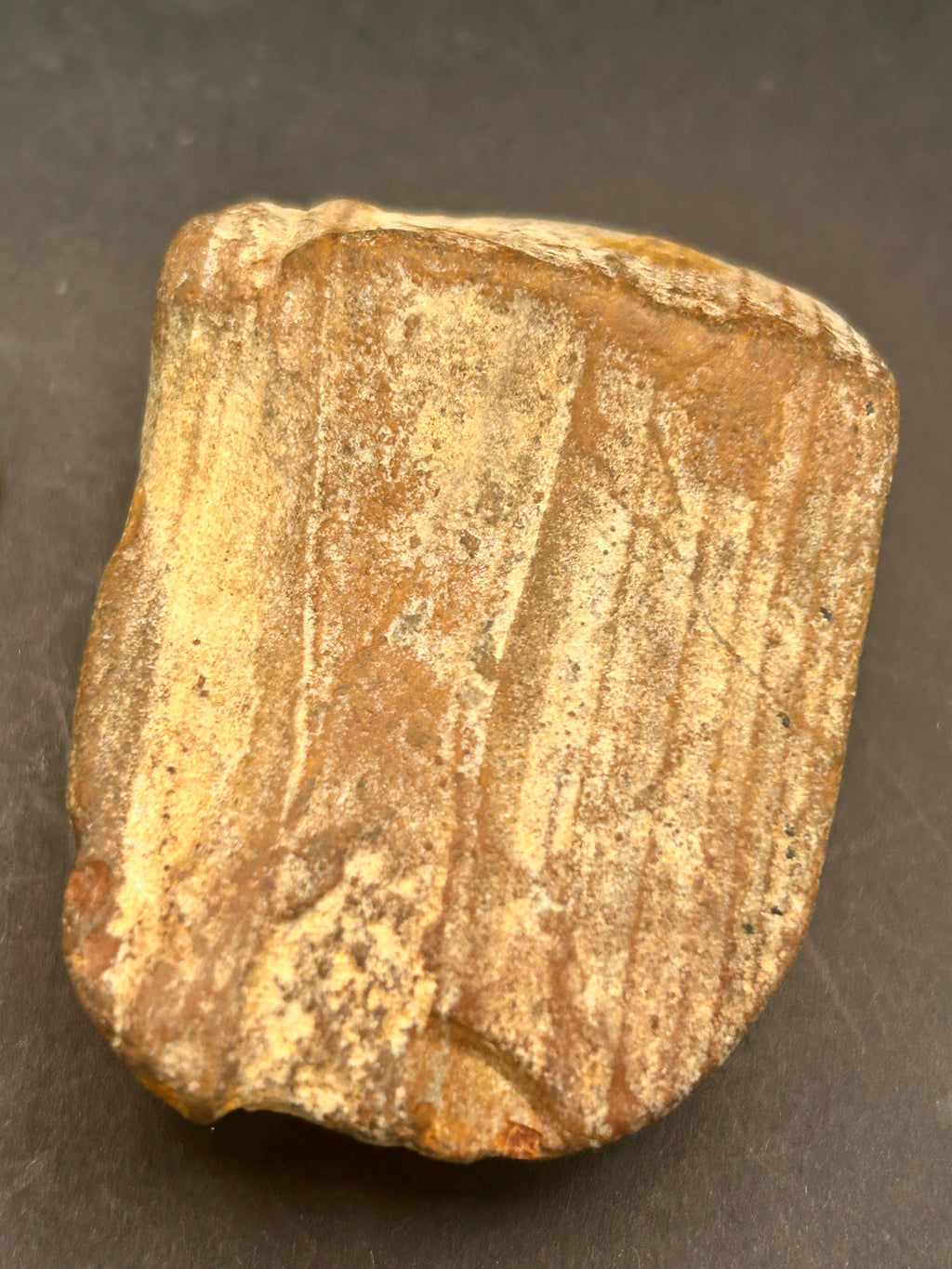 The Timber of Returning Echoes 4.68 ounces