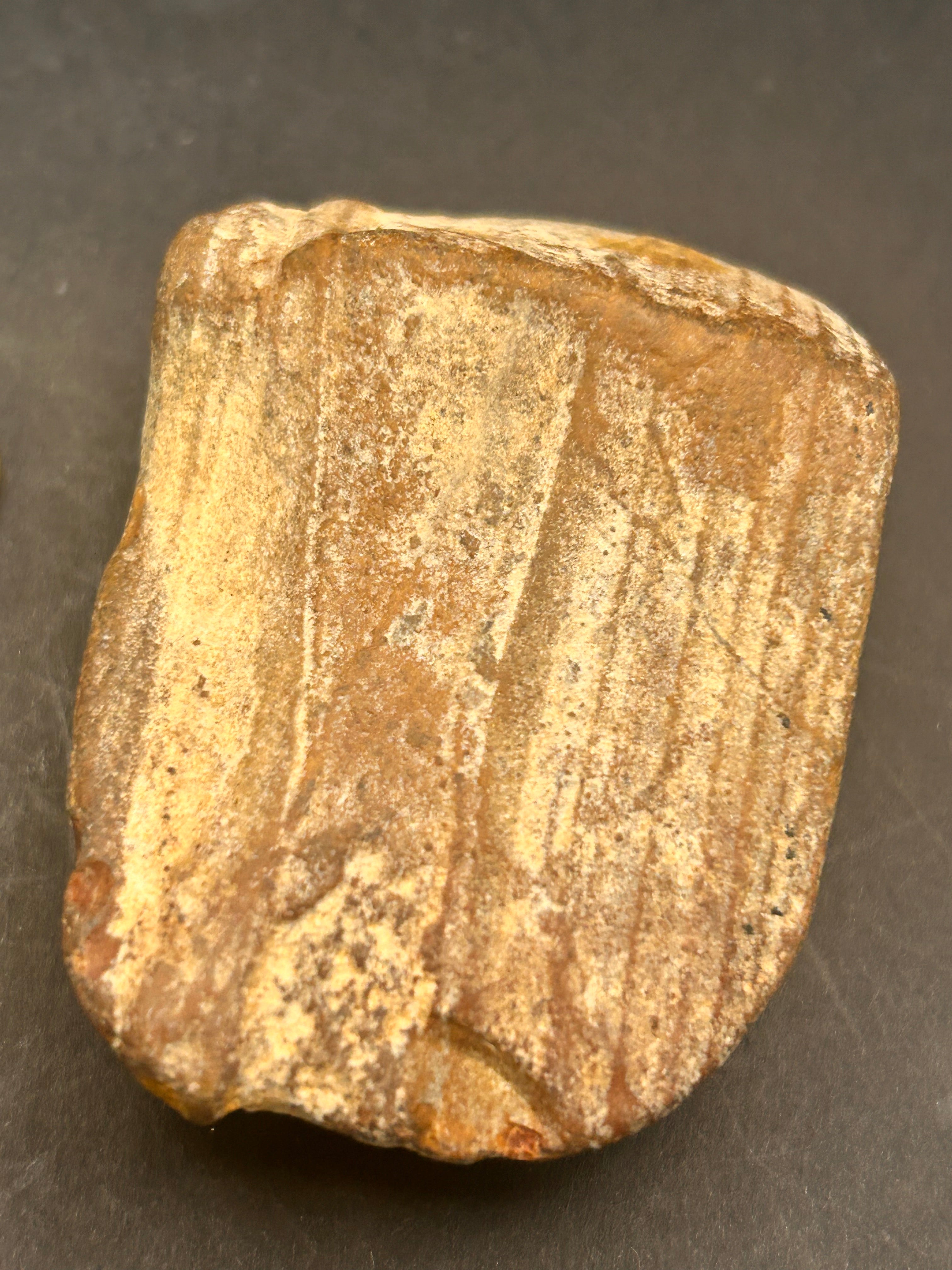 The Timber of Returning Echoes 4.68 ounces