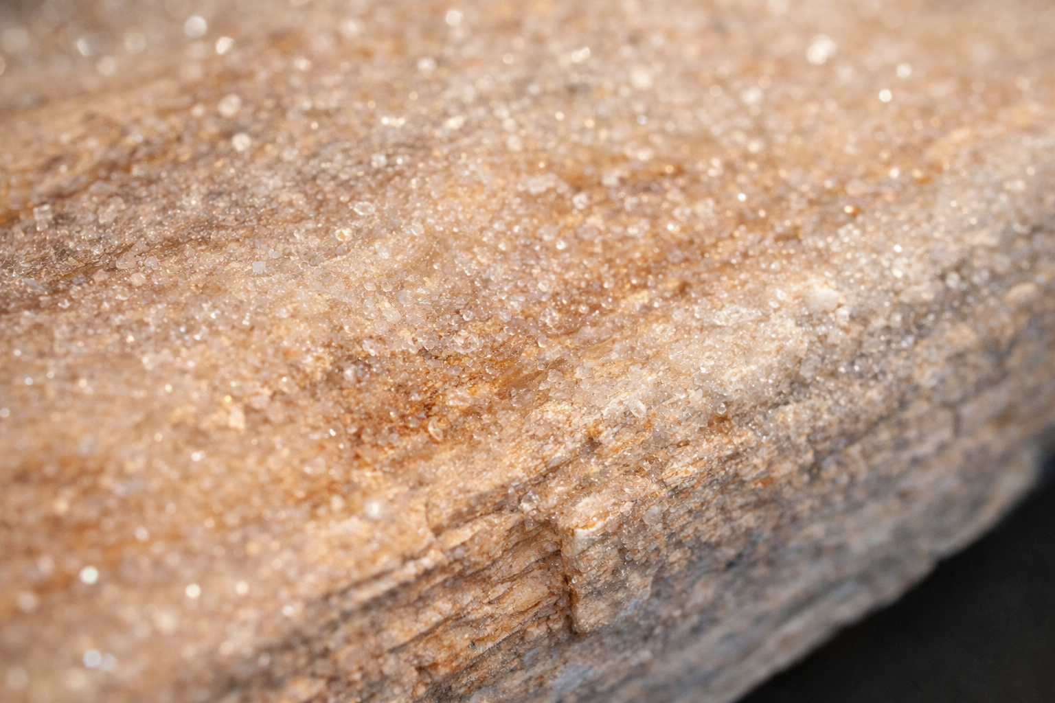 Silicified Petrified Wood with Natural Quartz Sparkle – Gulf Coast Origin (7.769 oz)