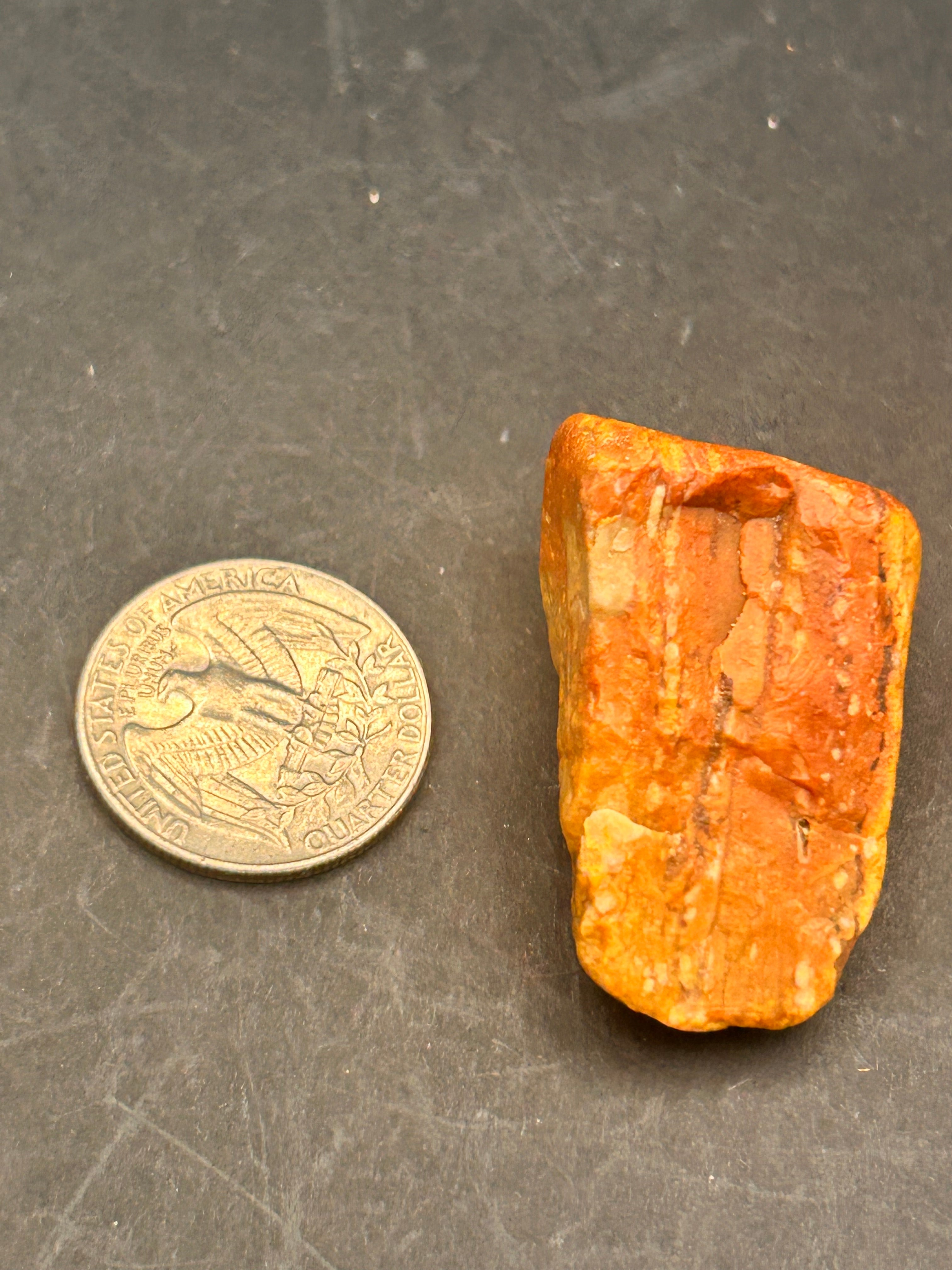 Amberroot Emberstone (1.05 oz) is a vivid fragment of petrified, jasperized wood