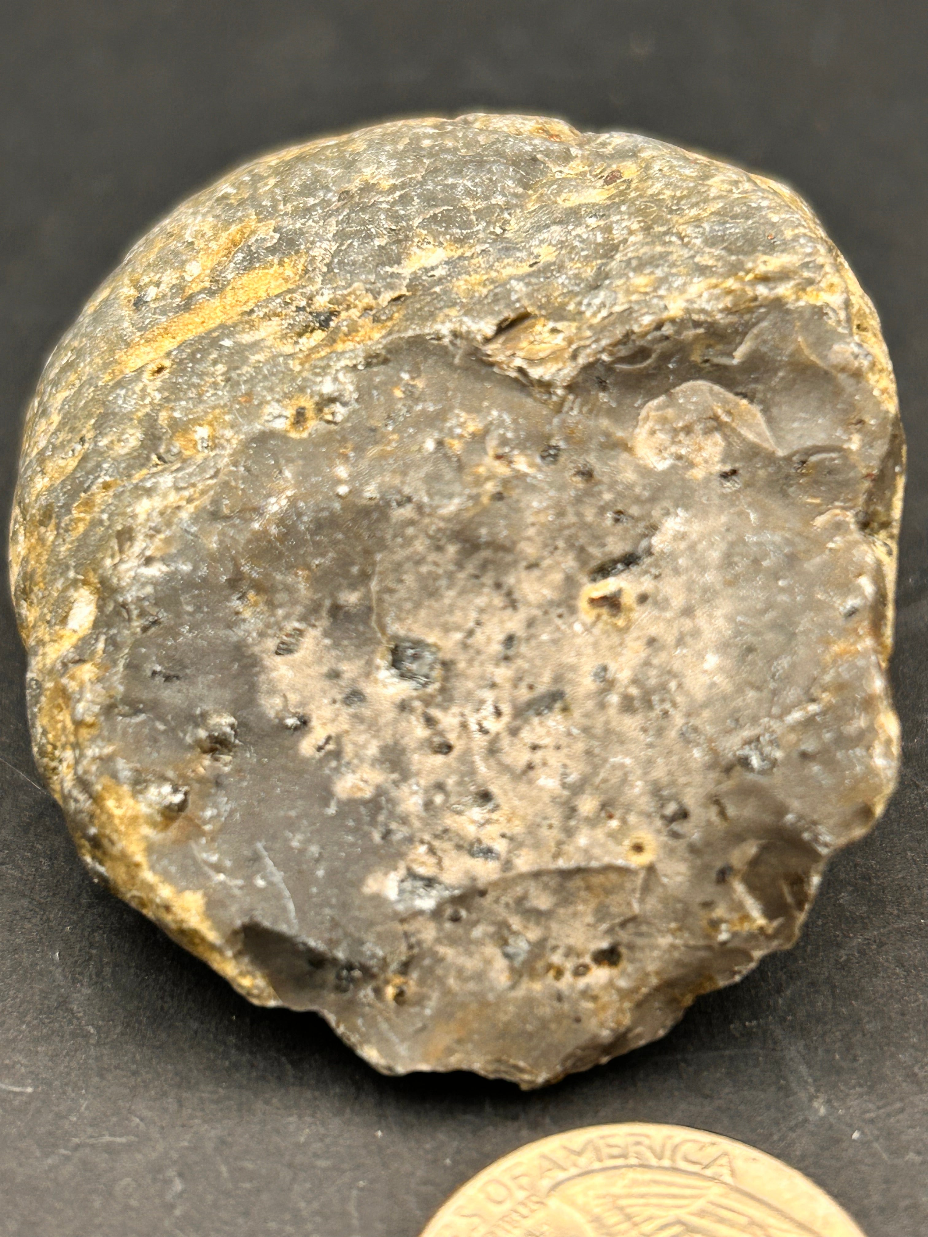 Petrified Portal Stone: “The Shrouded Memory Nodule” — 4.4 oz