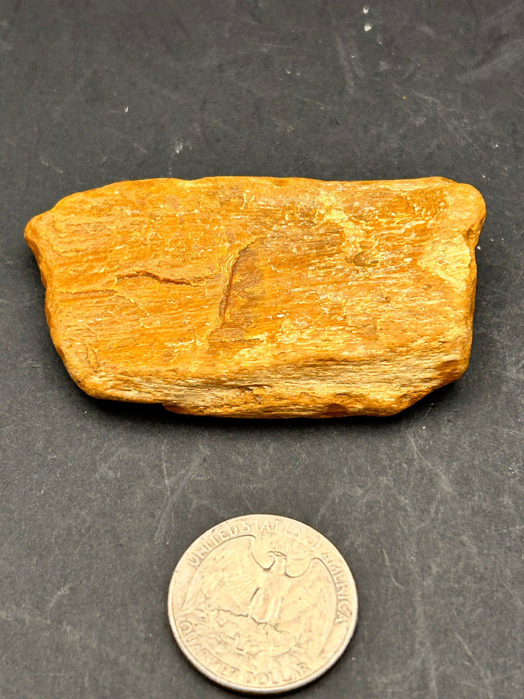 THE EMBER-SCRIPT TABLET — Petrified Yellow Jasper + Petrified Wood | 1.67 oz