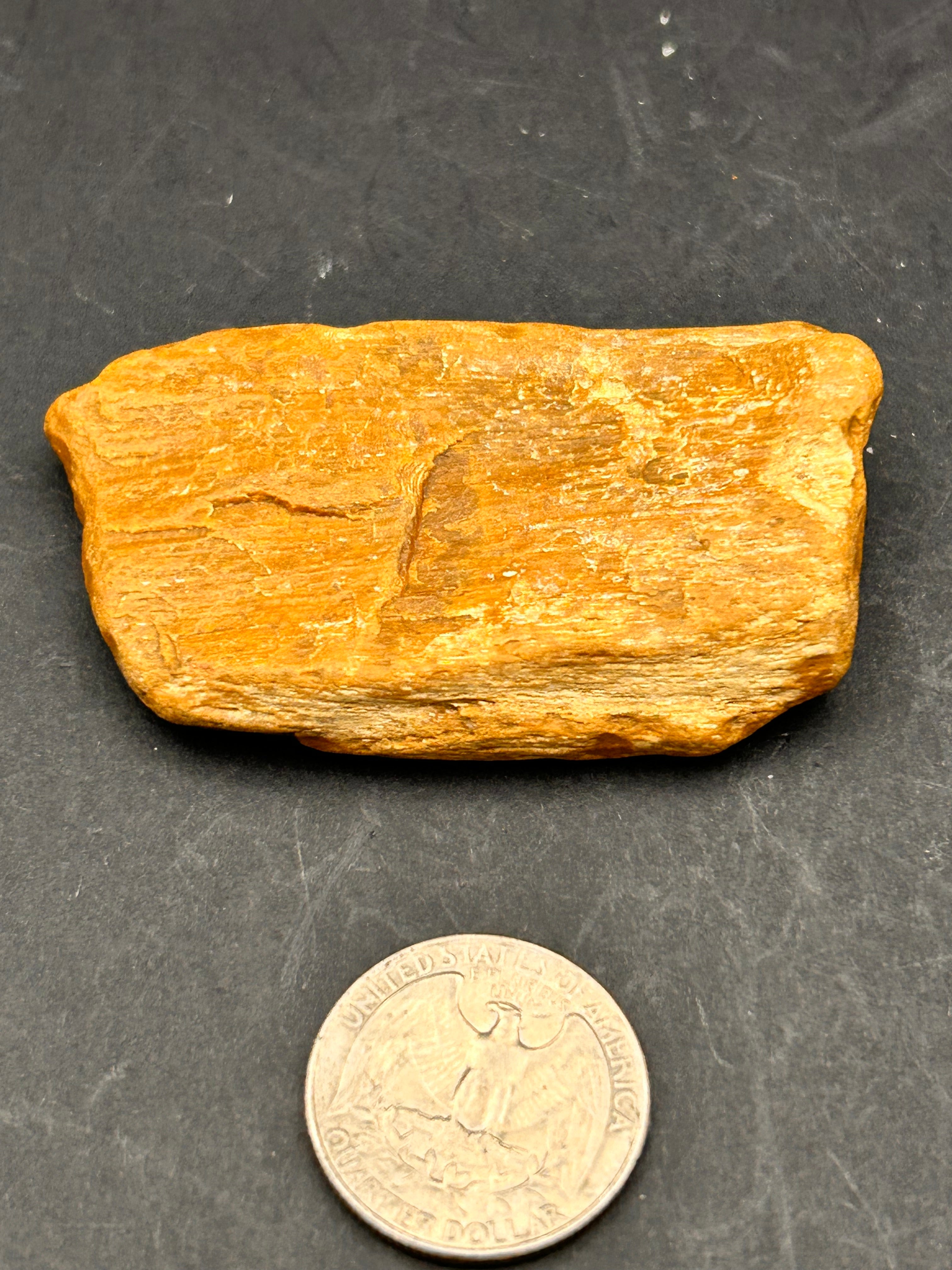THE EMBER-SCRIPT TABLET — Petrified Yellow Jasper + Petrified Wood | 1.67 oz