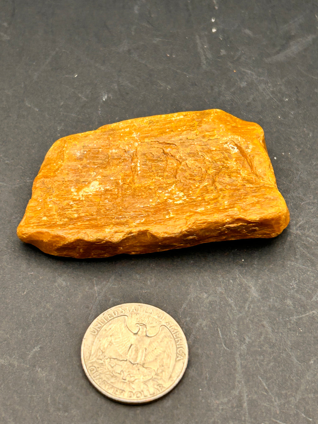 THE EMBER-SCRIPT TABLET — Petrified Yellow Jasper + Petrified Wood | 1.67 oz