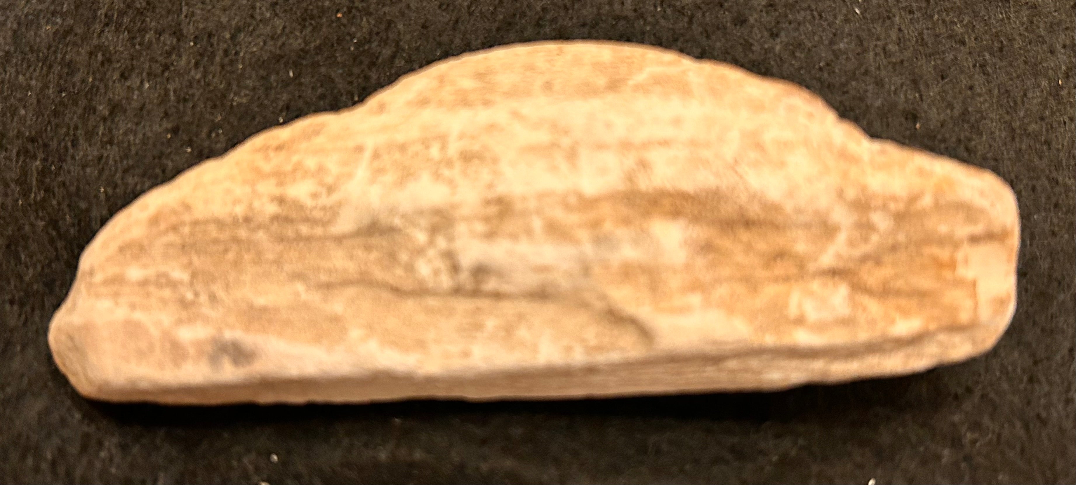 Whisperwood - Petrified Wood