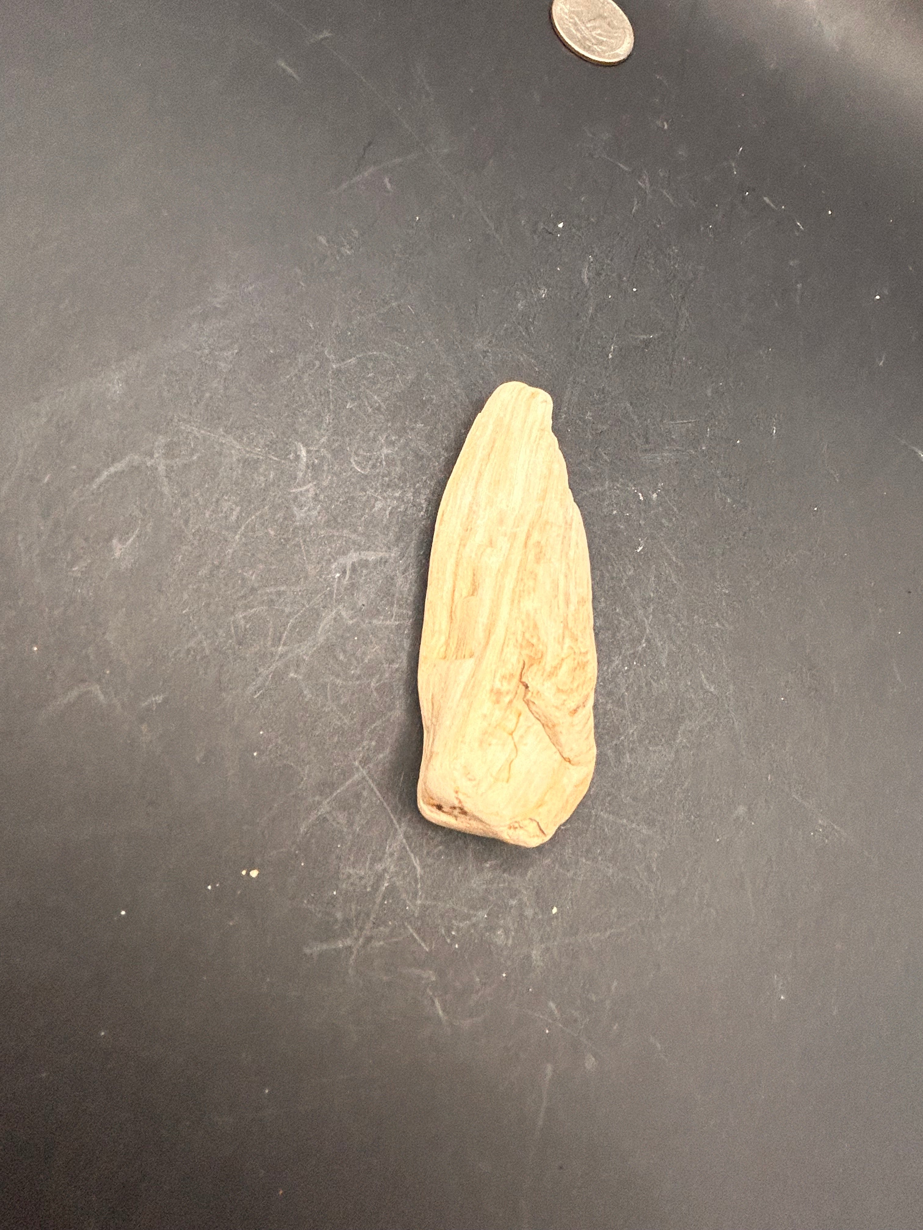 The Whisperblade of Avrilis — 1.70 oz Petrified Wood