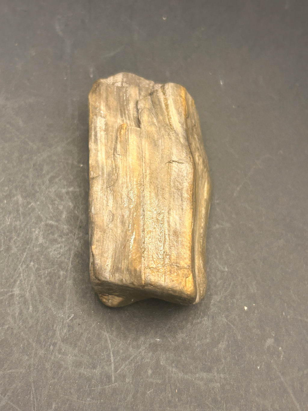 The Driftwood Echo is a 2.91-ounce exquisite piece of petrified wood