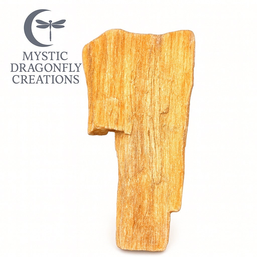 THE SUNLIT SENTINEL — Portal Collection

1.83 ounces • Petrified Wood