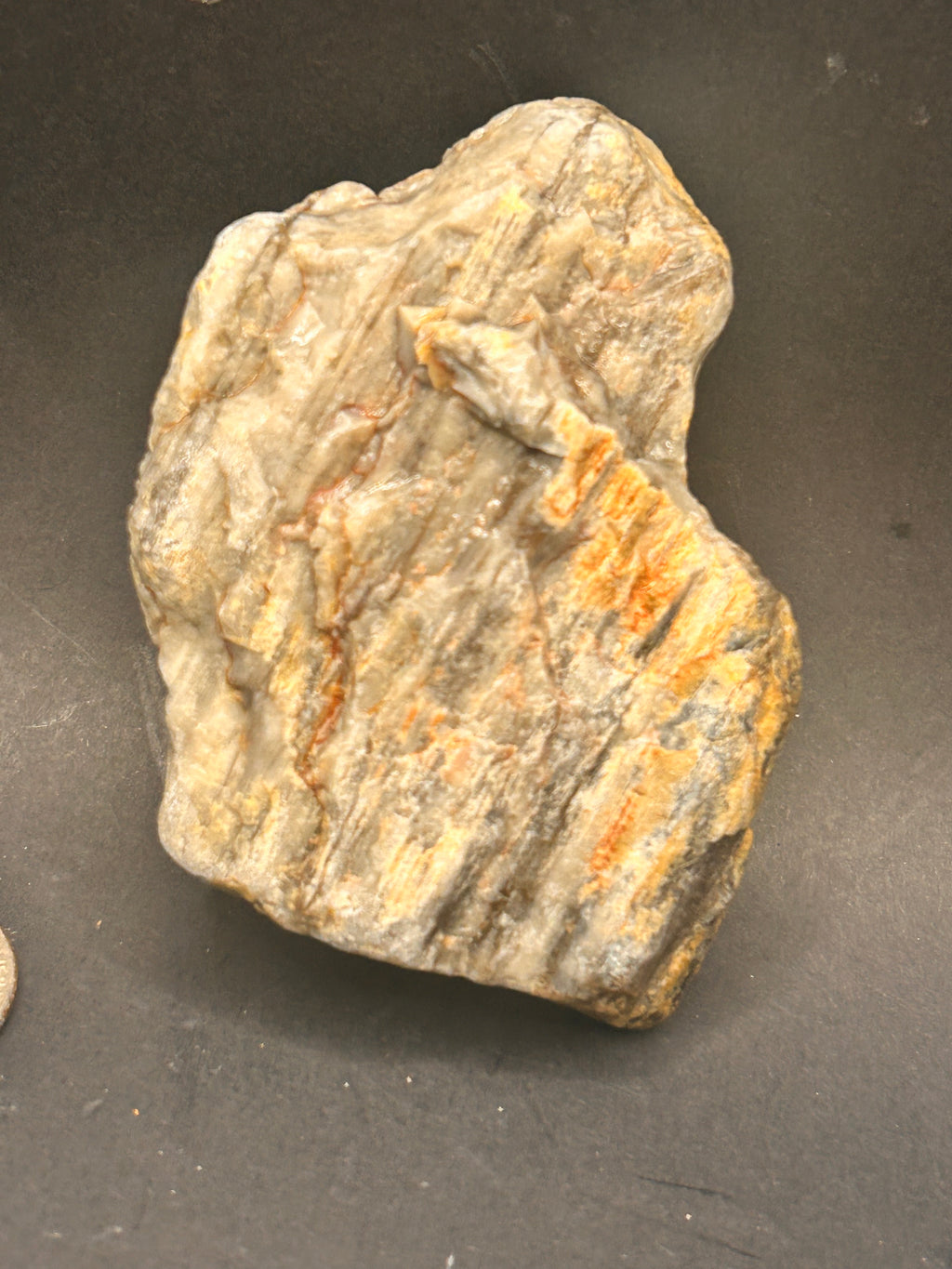 THE EMBER-ROOT SENTINEL — 4.95 oz Petrified Wood