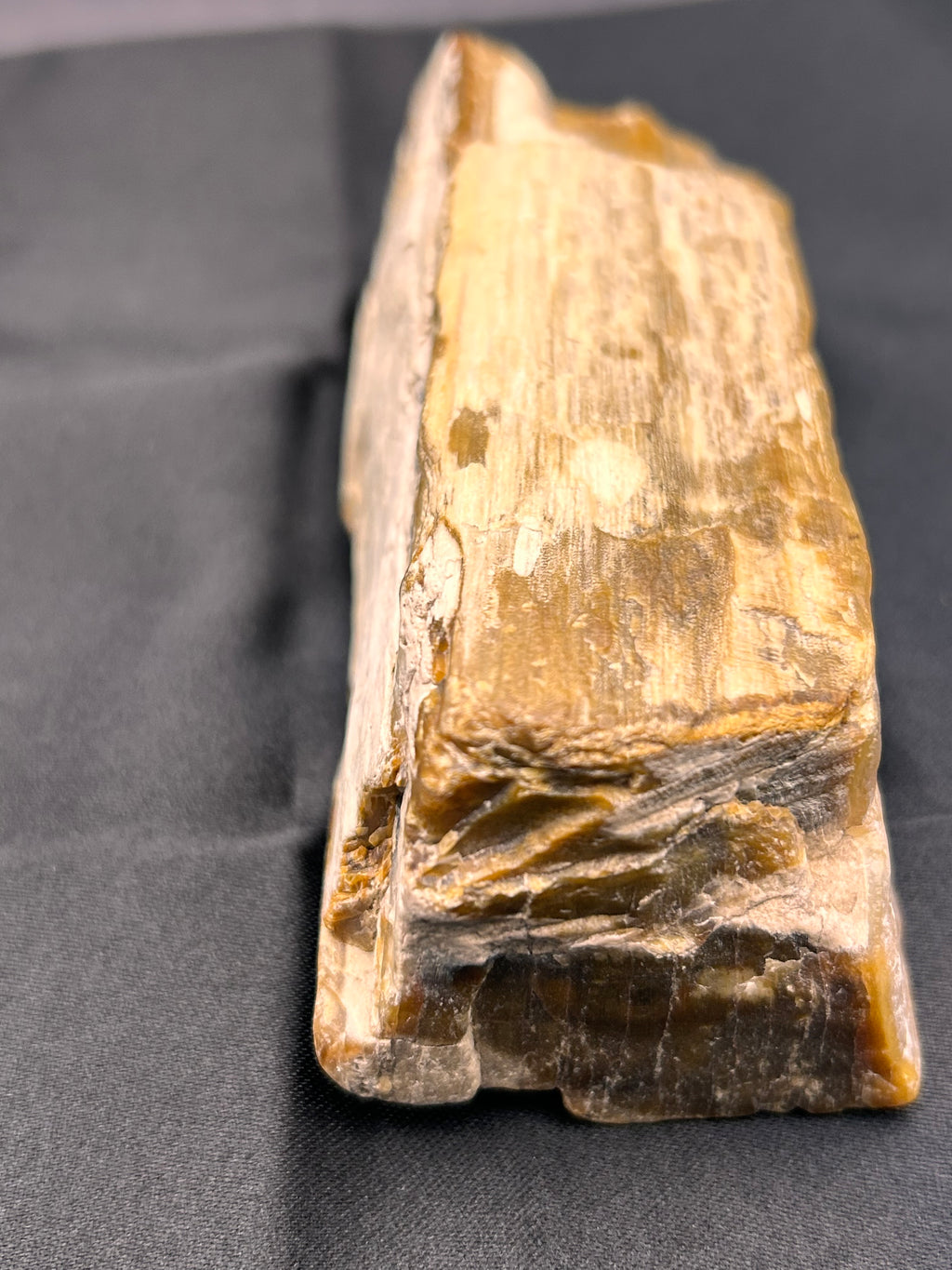 Petrified Wood – Ancient Earth’s Wisdom