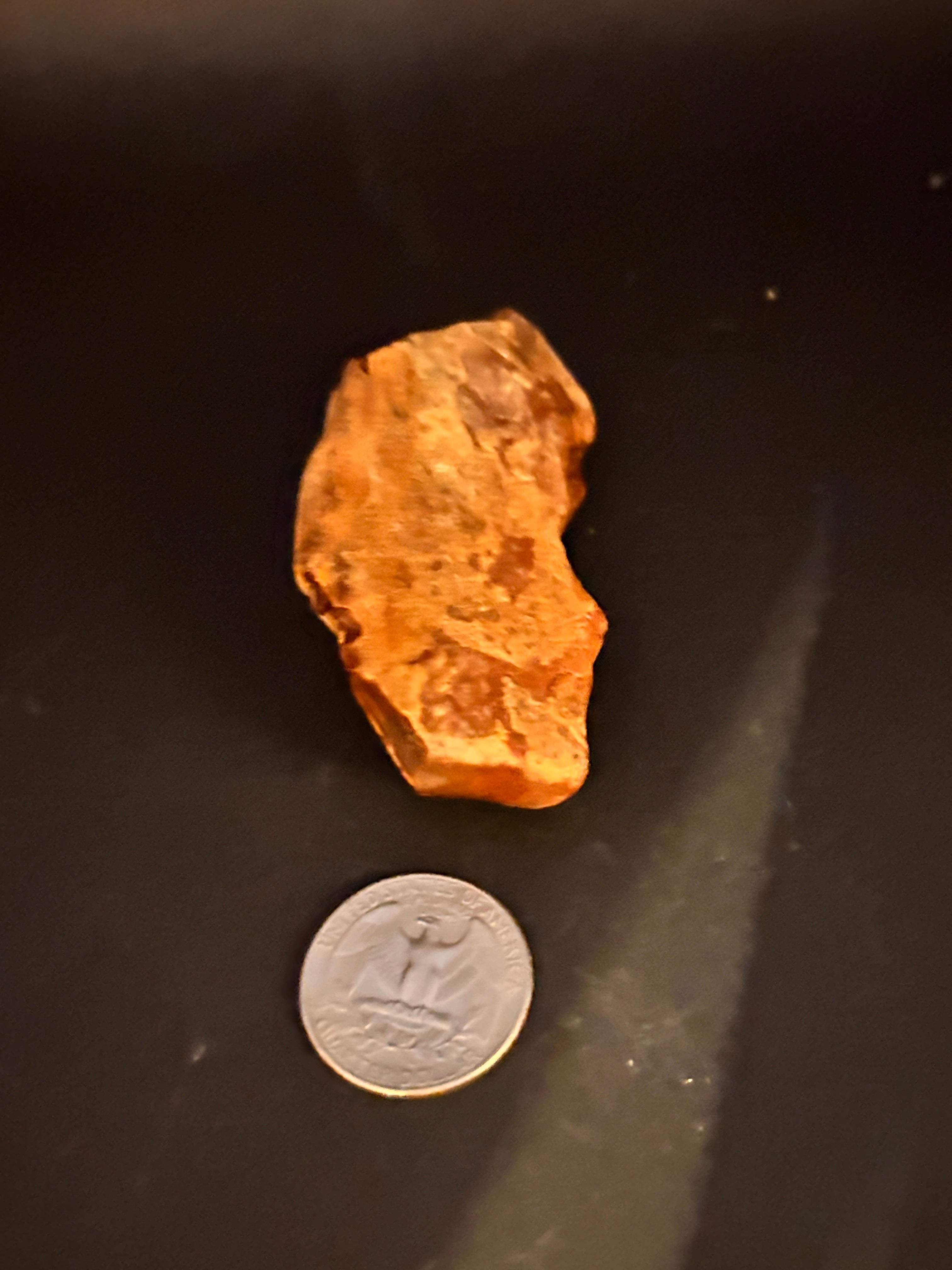 Petrified Jasper With Quartz Chalcedony Veining