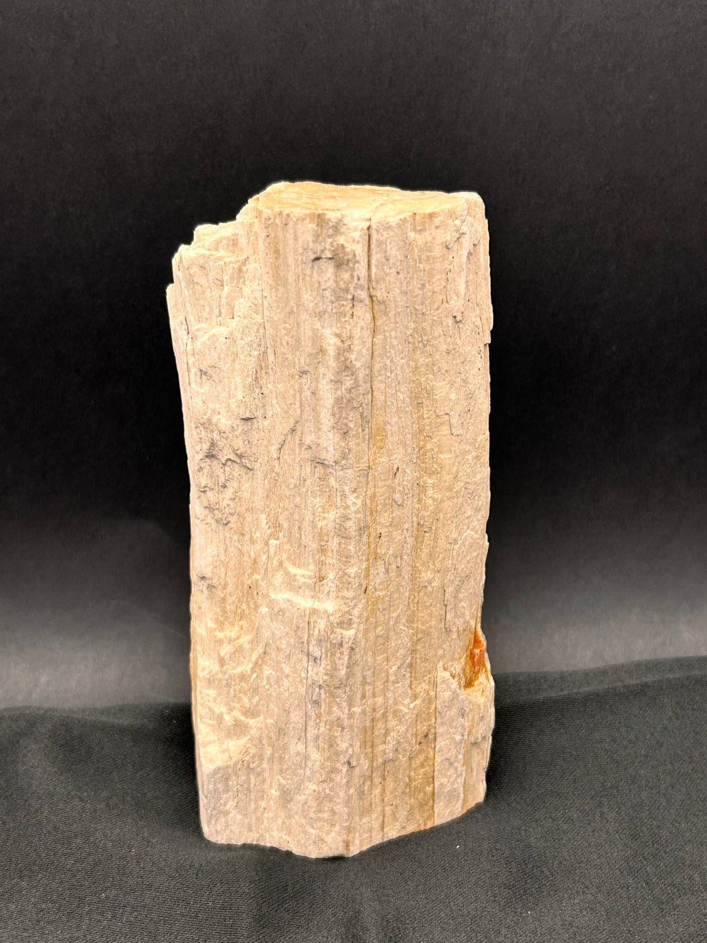 Whisperwood with Satin Spar – Ancient Petrified Wisdom