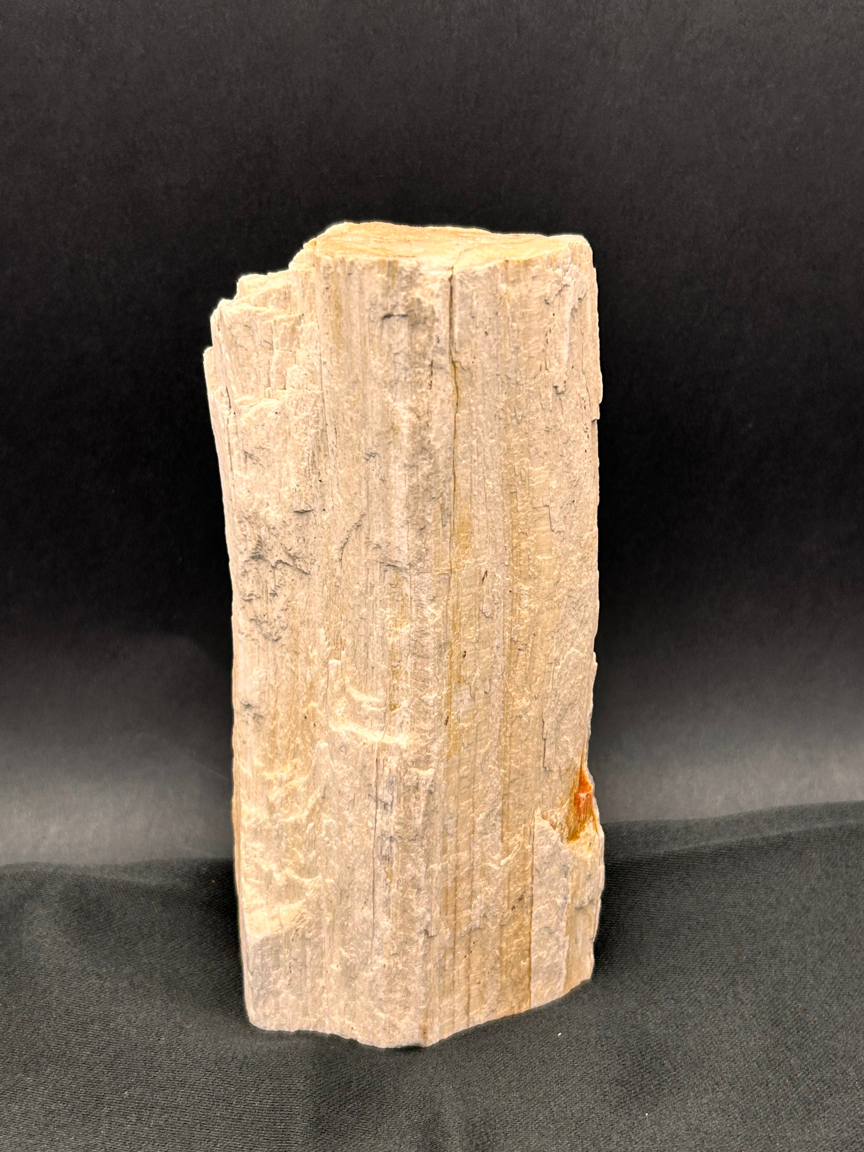 Whisperwood with Satin Spar – Ancient Petrified Wisdom