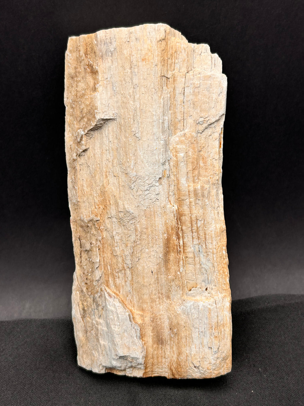 Whisperwood with Satin Spar – Ancient Petrified Wisdom