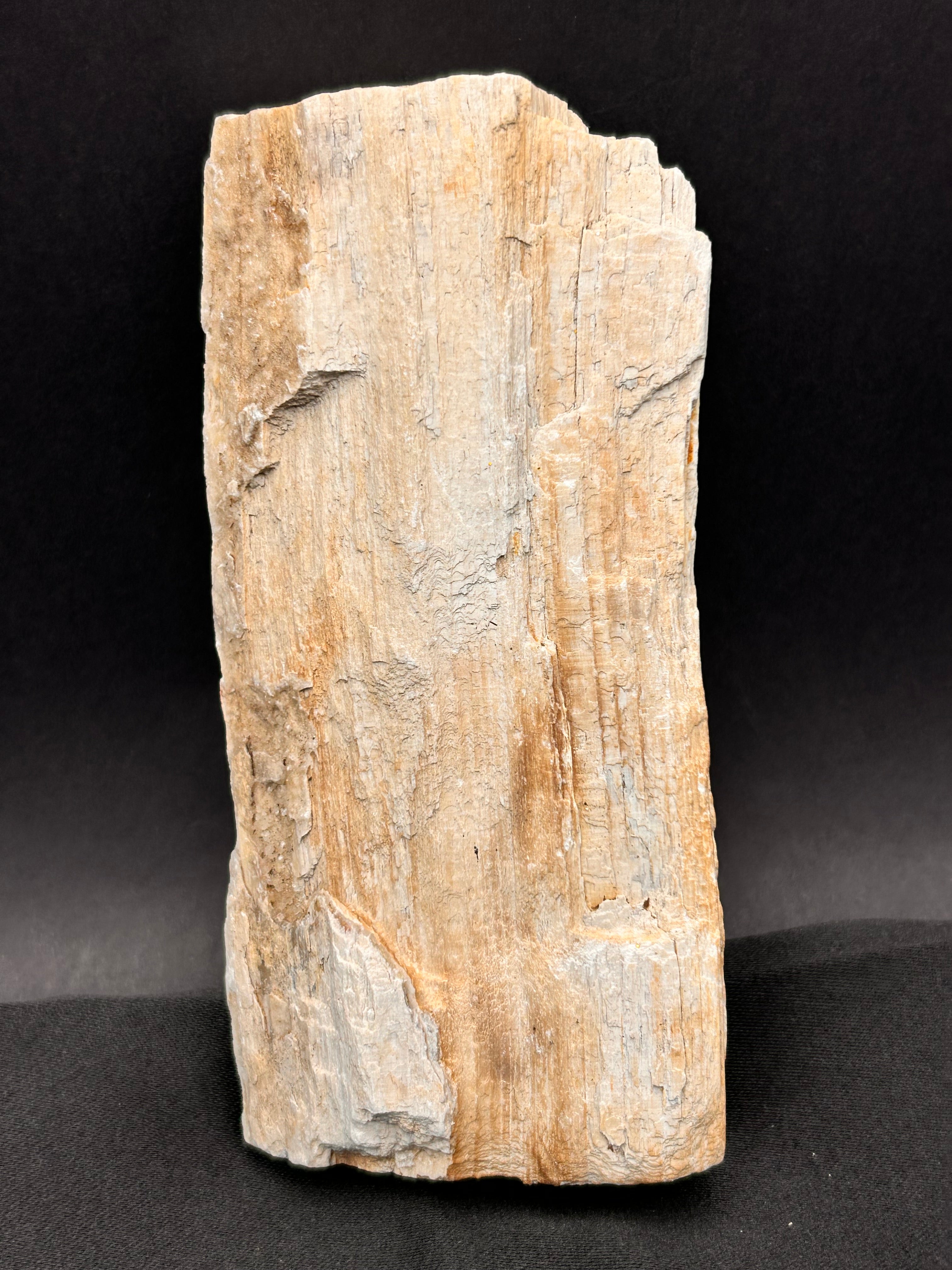 Whisperwood with Satin Spar – Ancient Petrified Wisdom