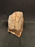 Marine Fossil Specimen
Weight: 6 oz