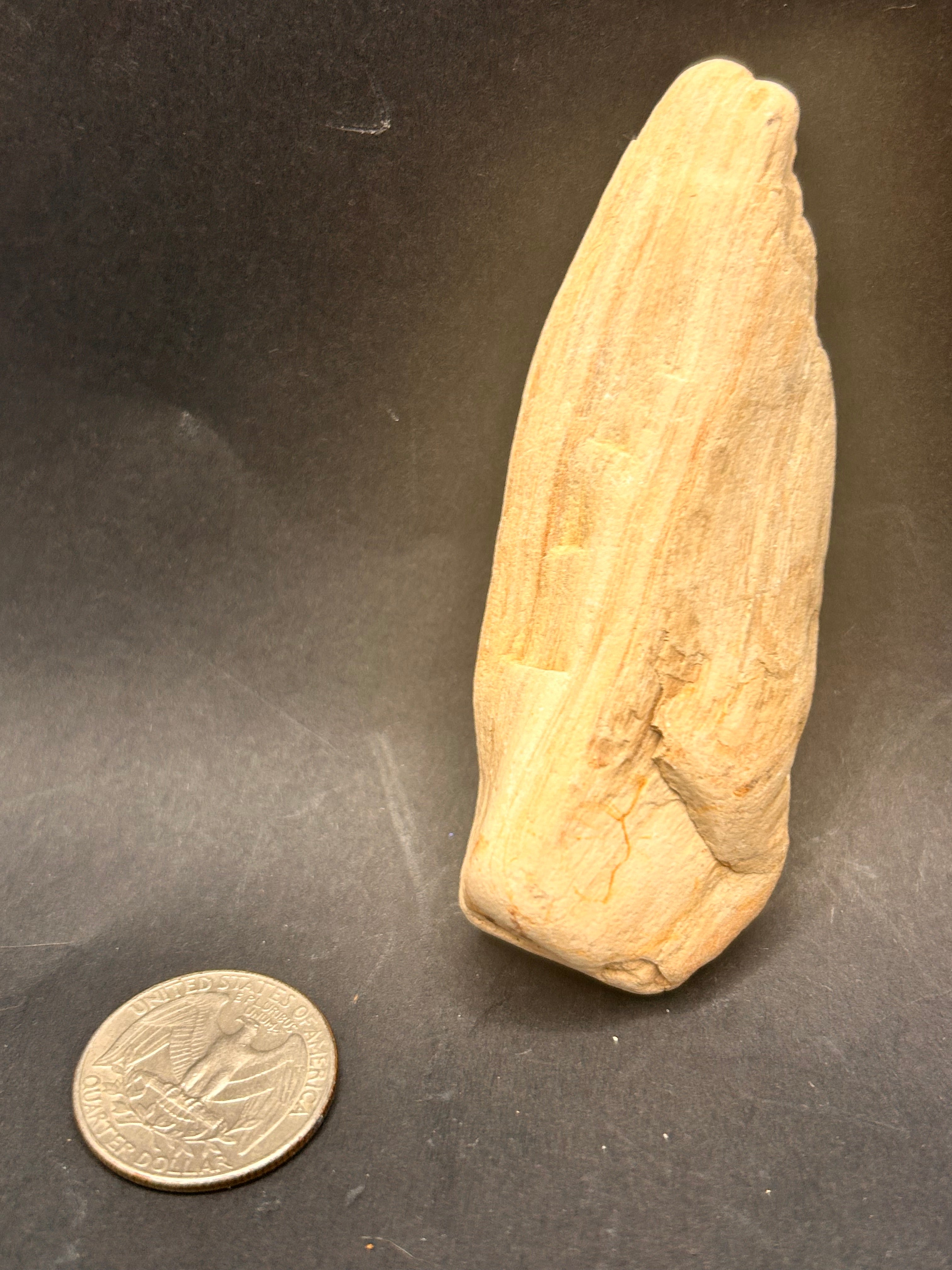 The Whisperblade of Avrilis — 1.70 oz Petrified Wood