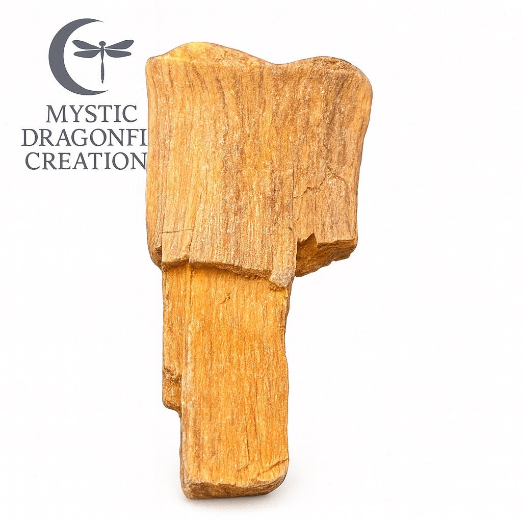 THE SUNLIT SENTINEL — Portal Collection

1.83 ounces • Petrified Wood