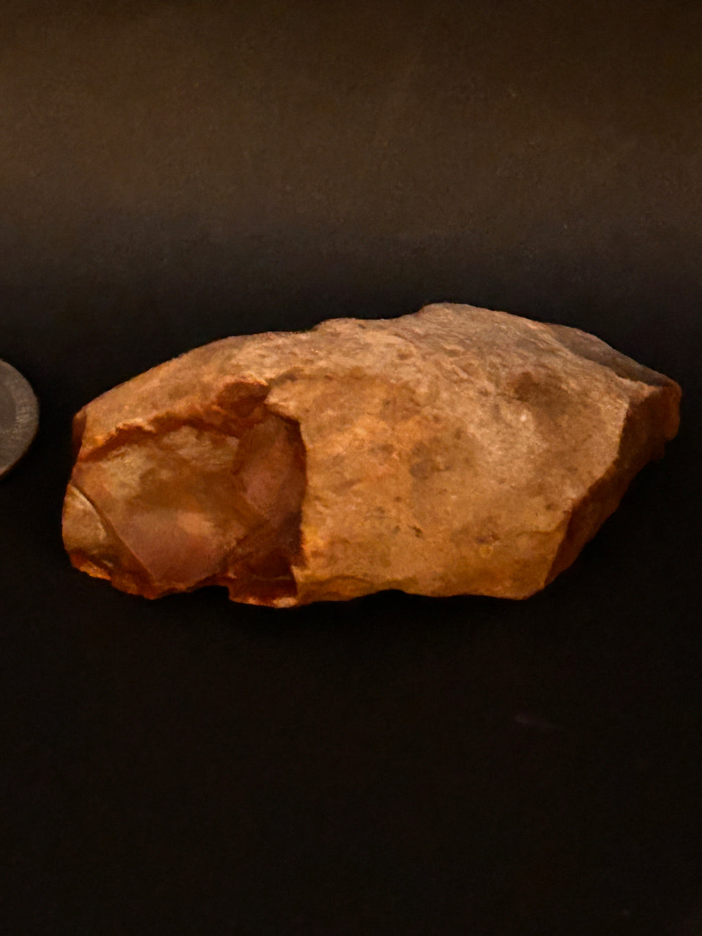 Petrified Jasper With Quartz Chalcedony Veining