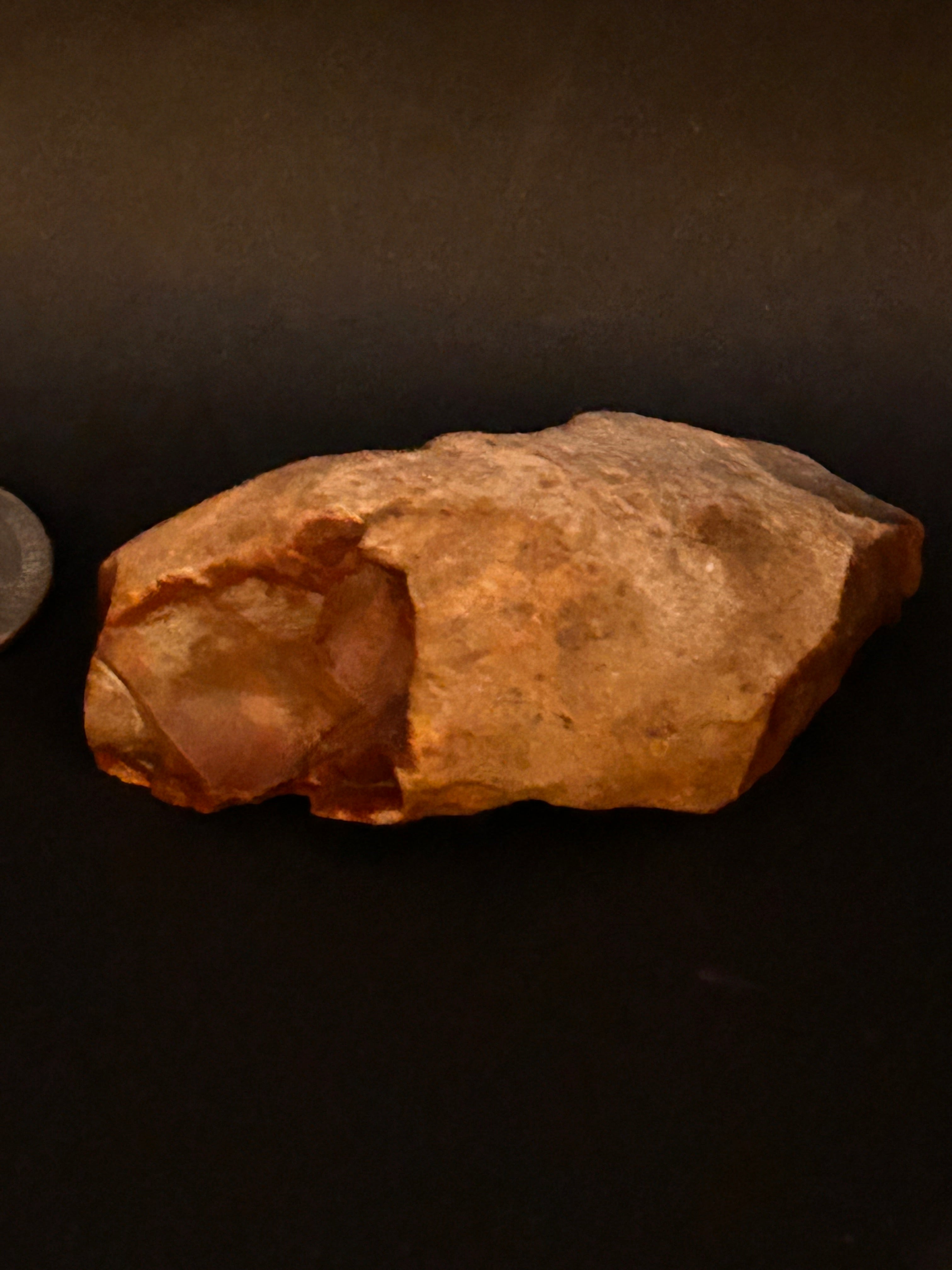 Petrified Jasper With Quartz Chalcedony Veining